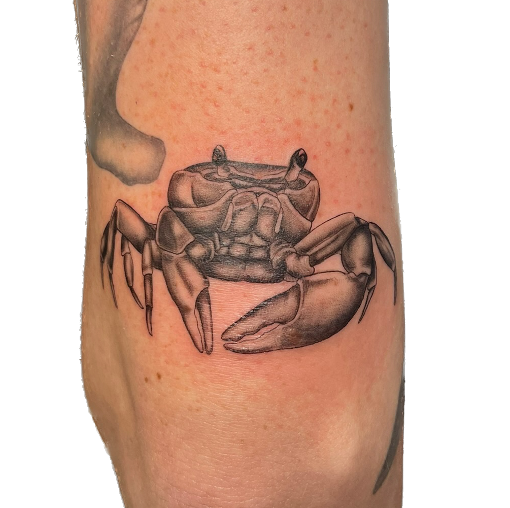 IMG_7363 Background Removed.png