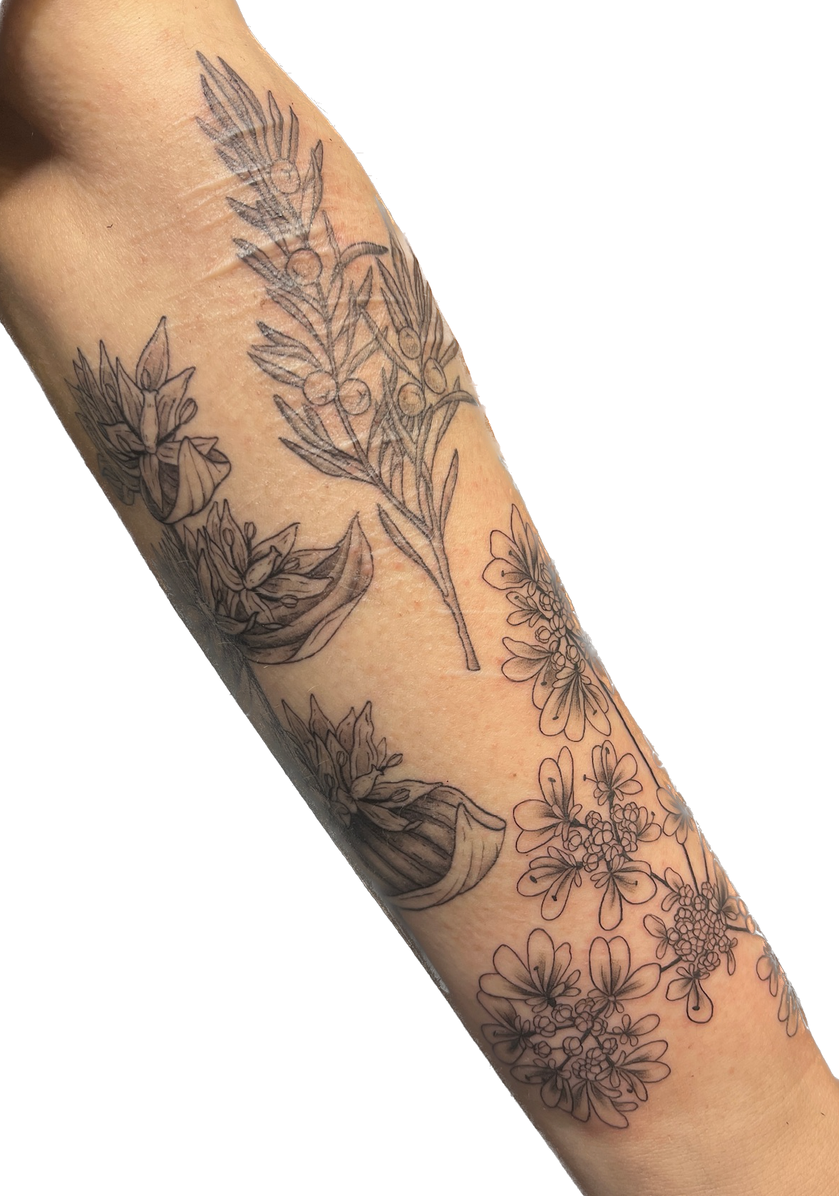 IMG_2943 Background Removed.png