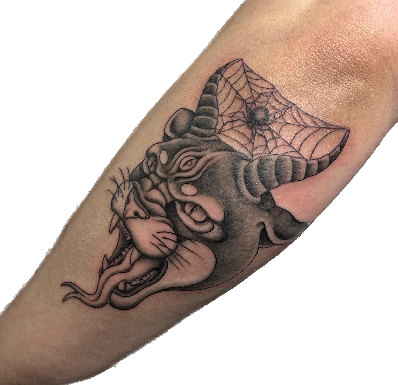 IMG_8227 Background Removed.png