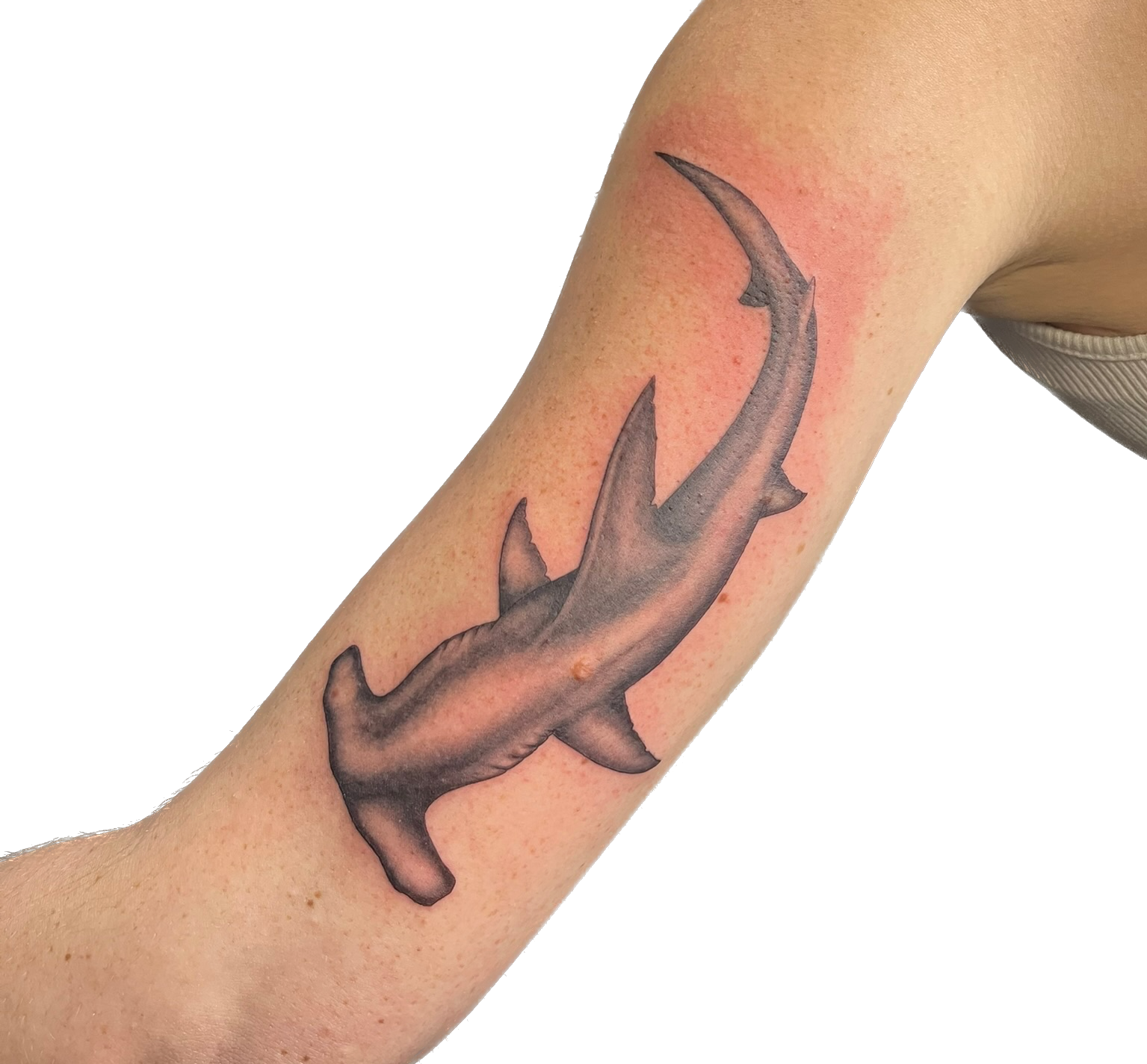 IMG_3662 2 Background Removed.png