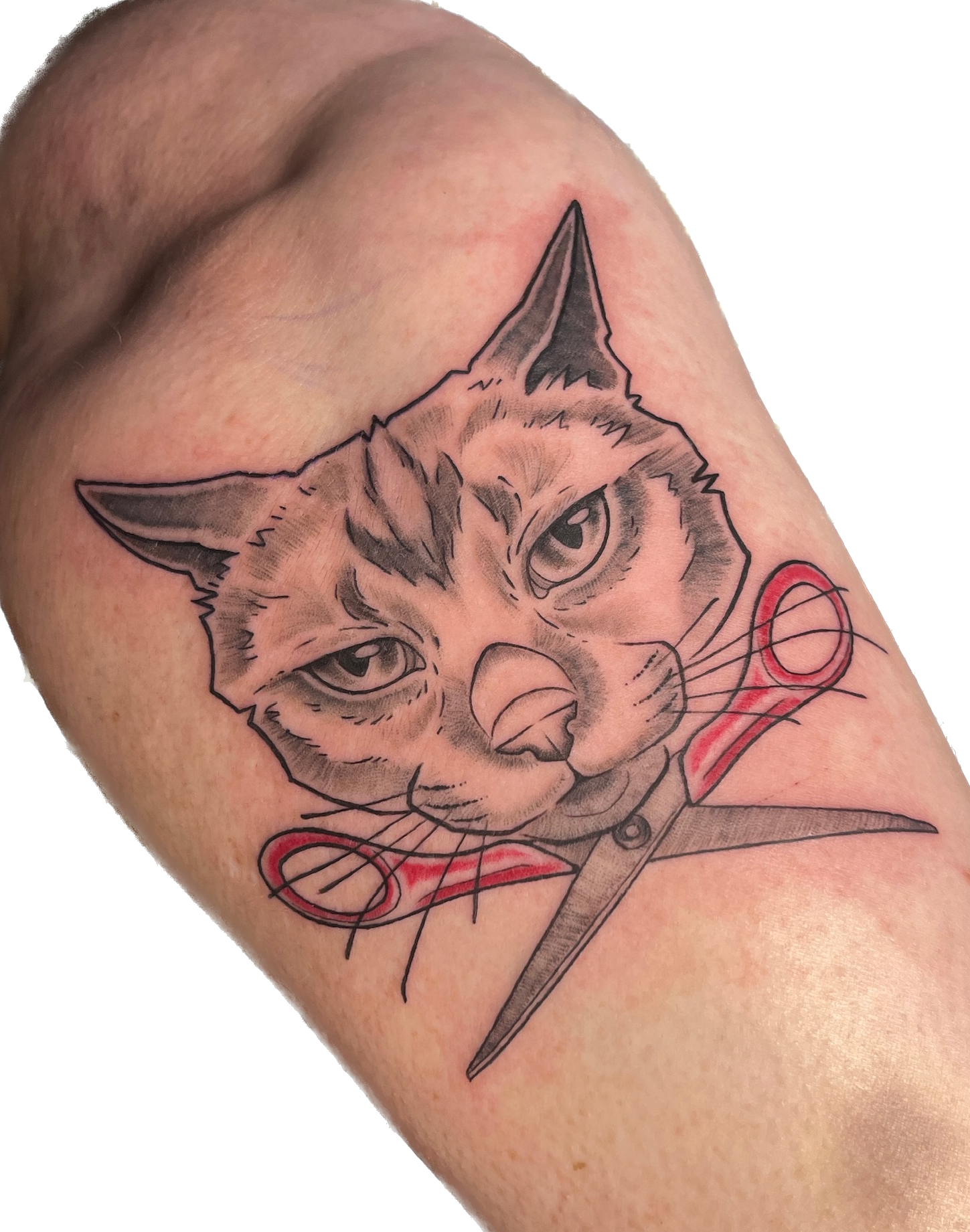 IMG_1471 Background Removed.png