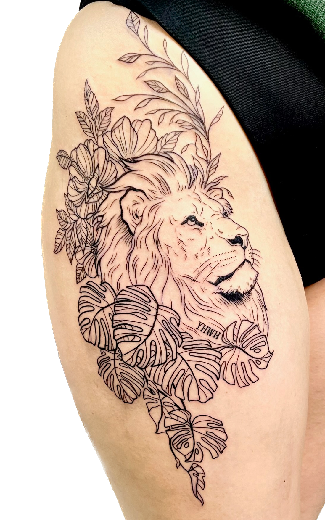 IMG_8962 Background Removed.png