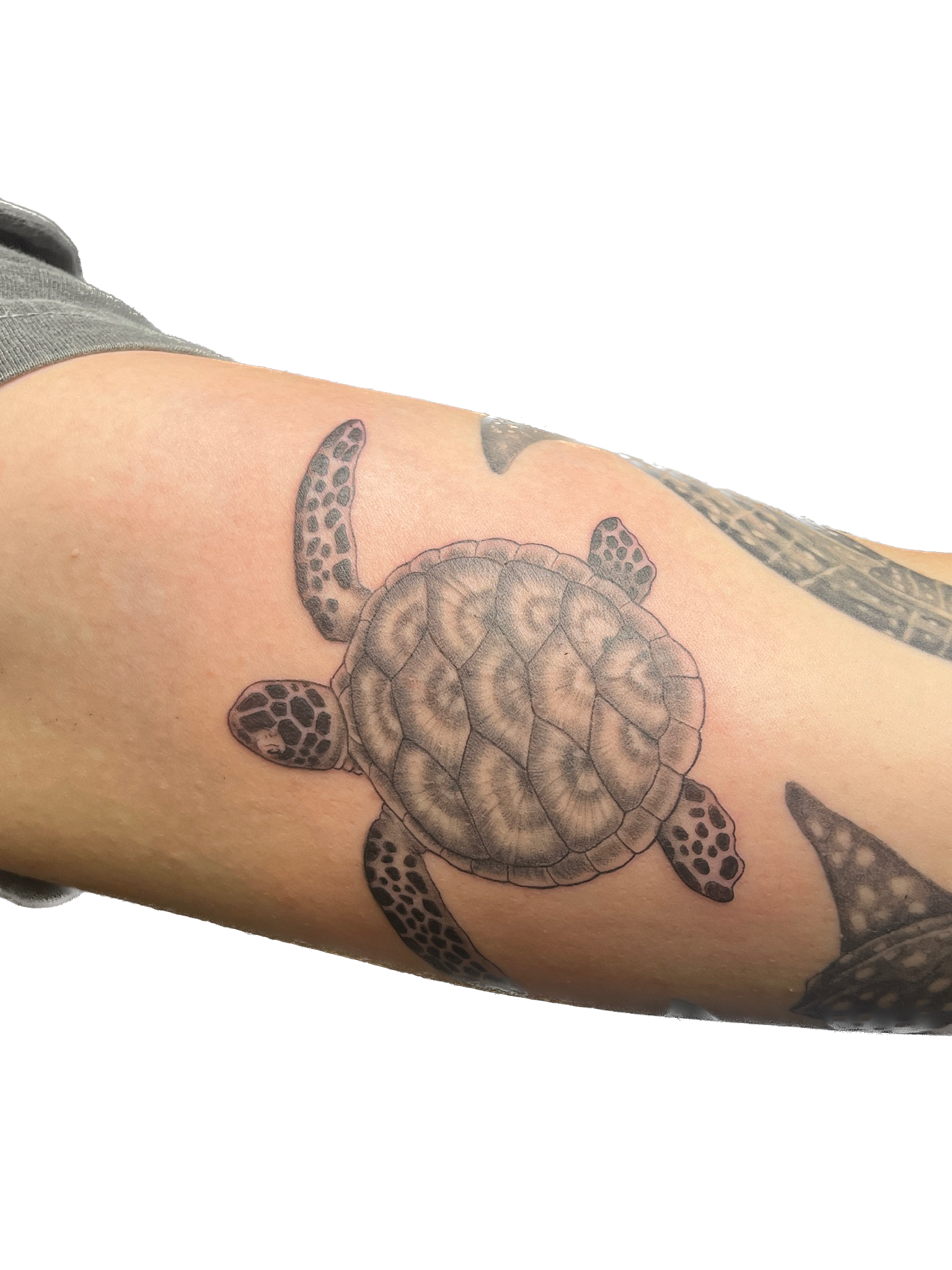 IMG_7944 Background Removed.png