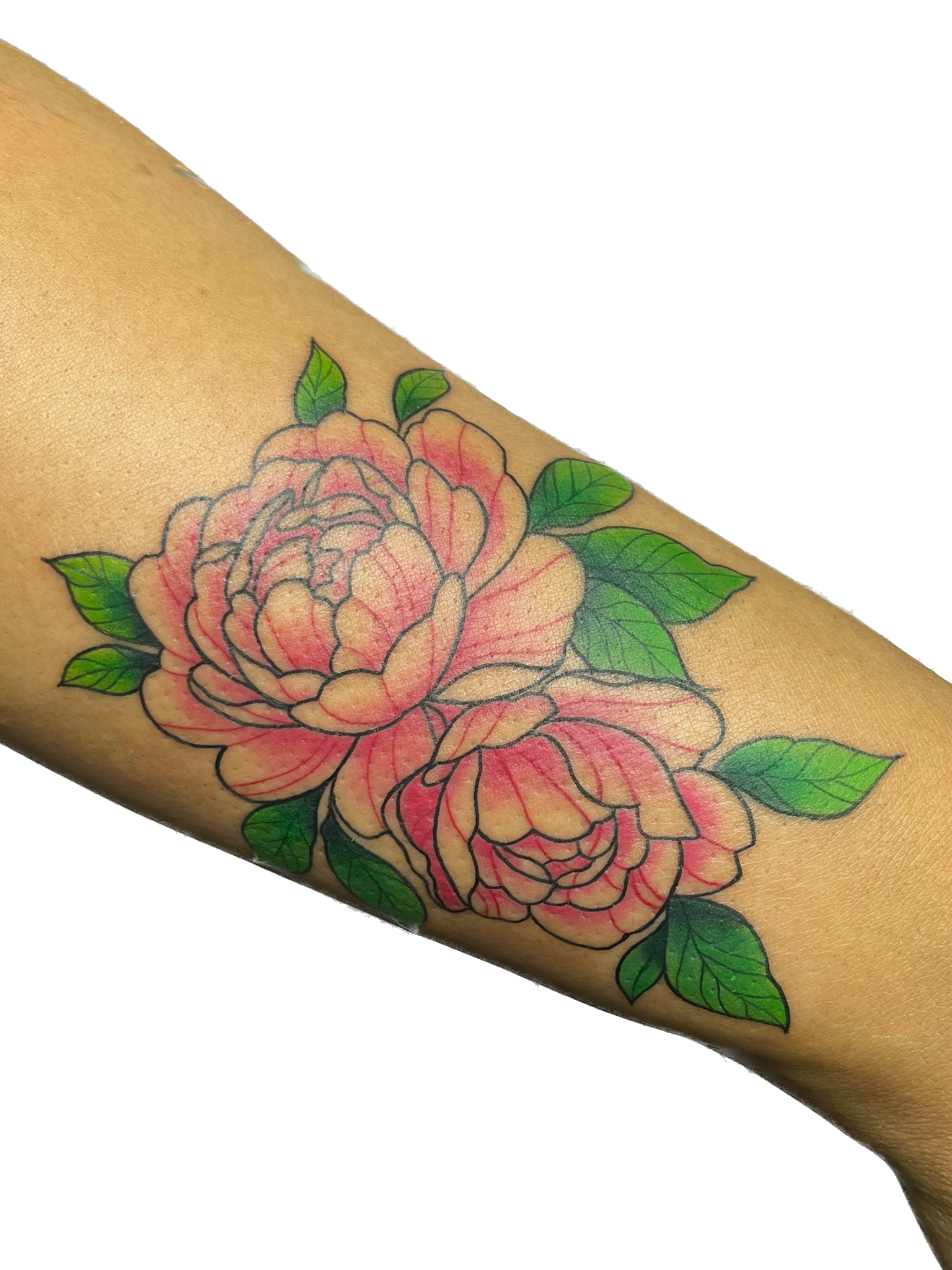 IMG_1989 Background Removed.png