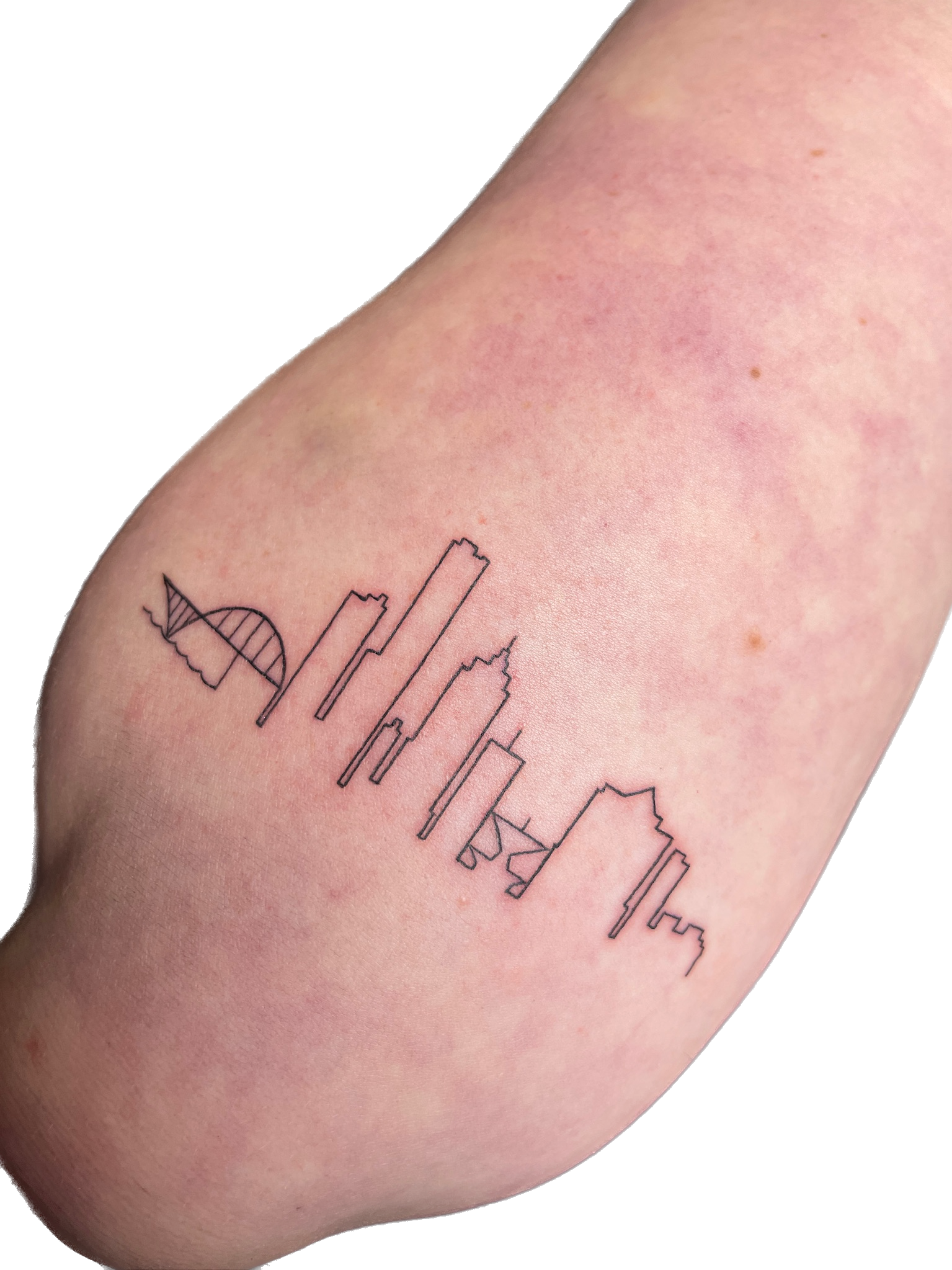 IMG_1293 Background Removed.png