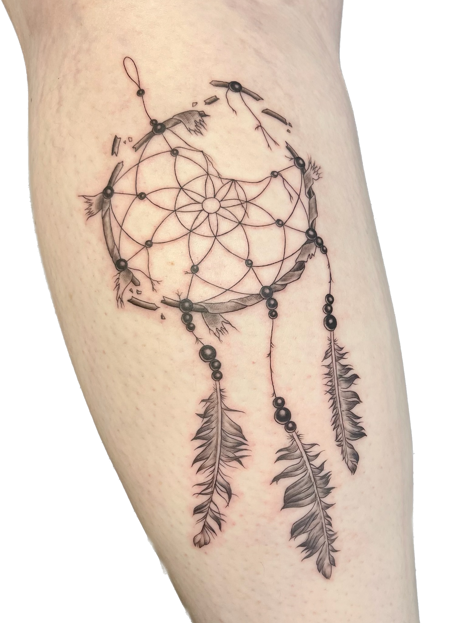 IMG_6329 Background Removed.png