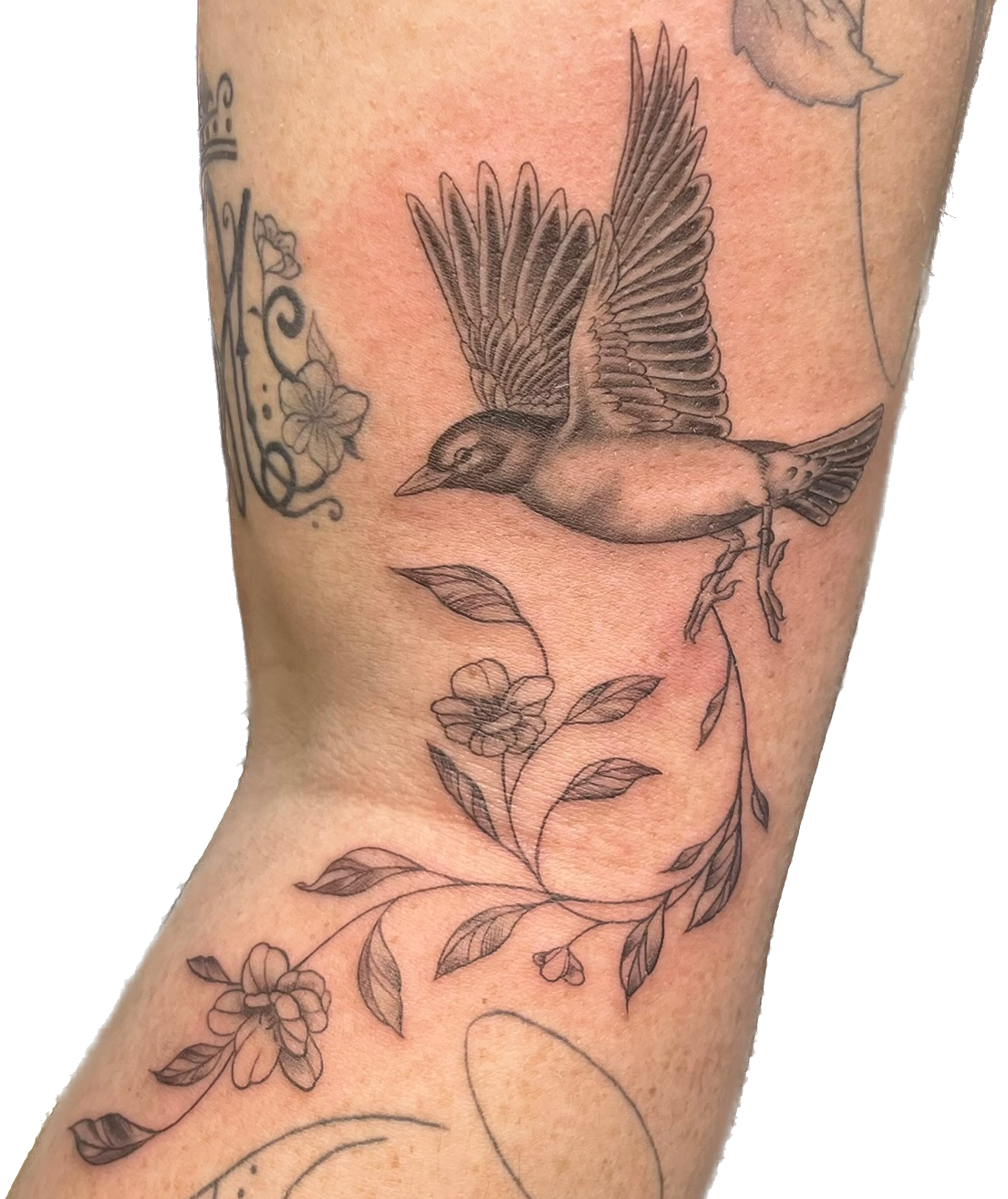 IMG_5171 Background Removed.png