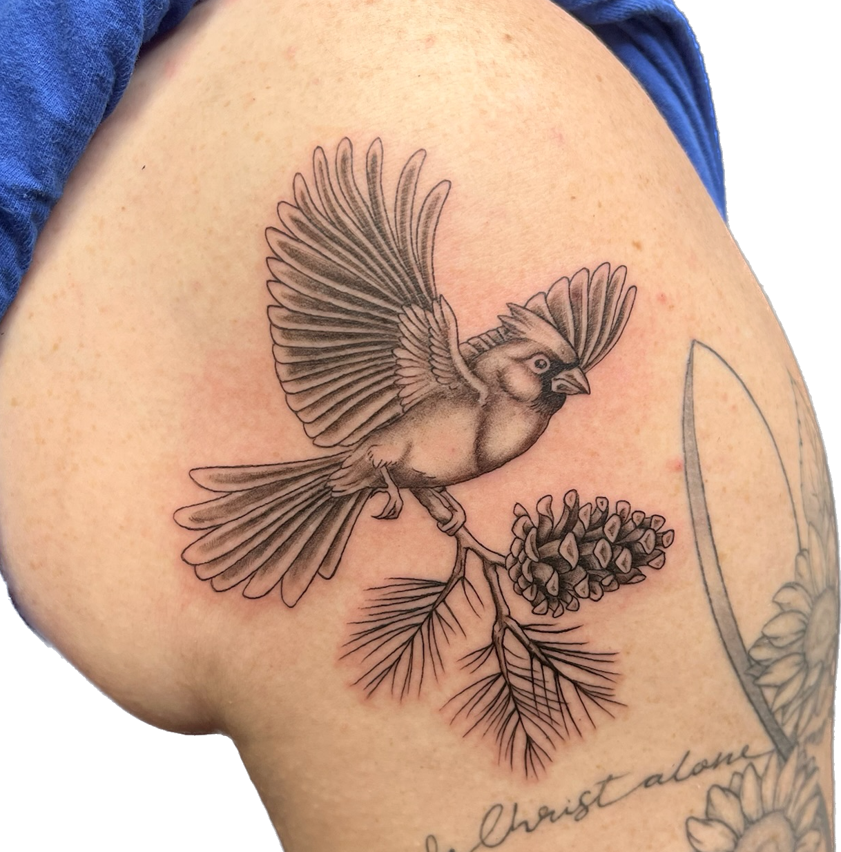 IMG_5758 Background Removed.png