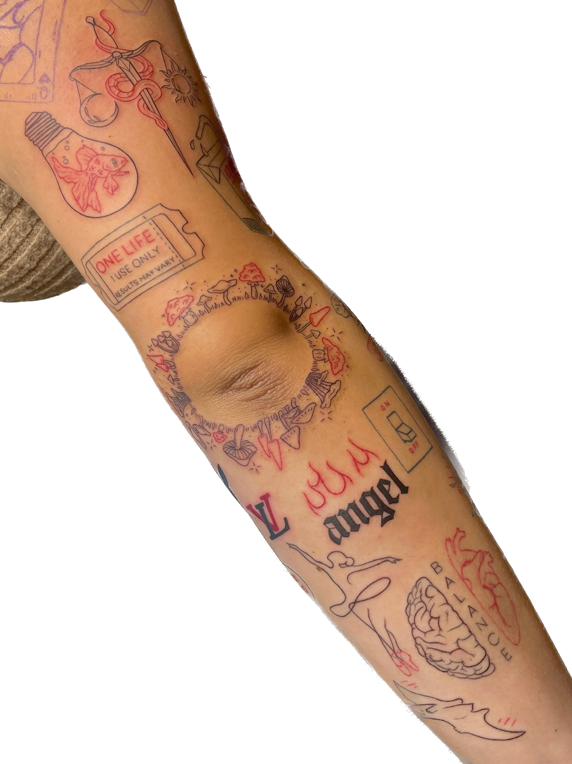 IMG_1384 Background Removed.png