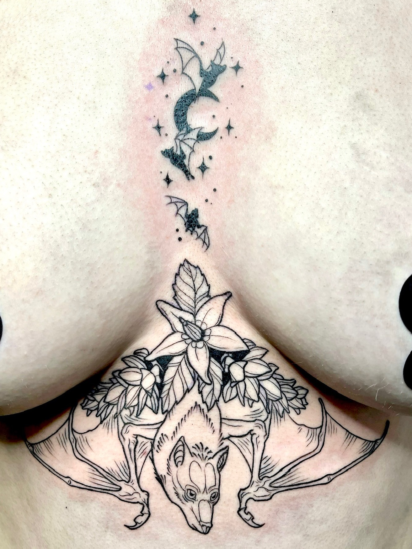 IMG_6955 Background Removed.png