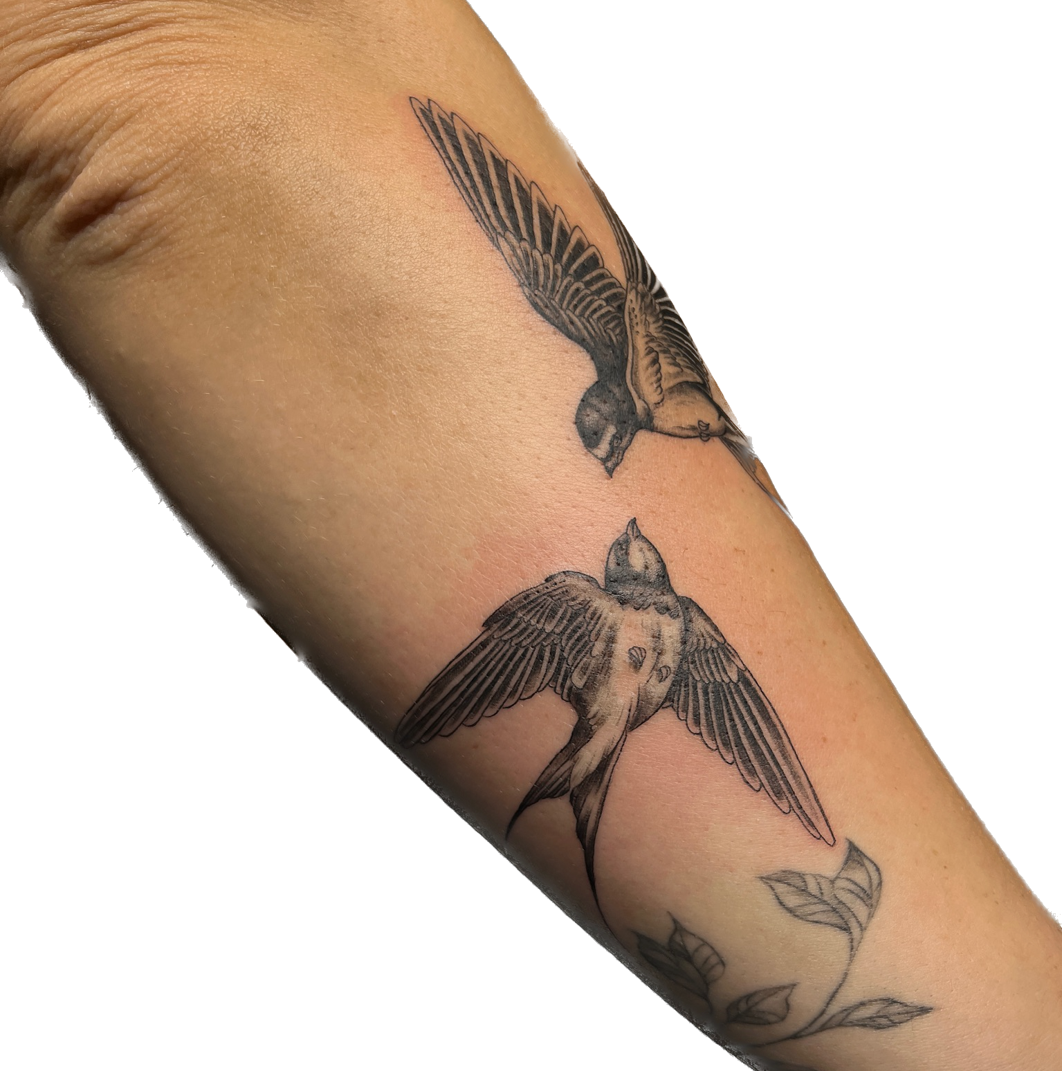 IMG_1091 Background Removed.png