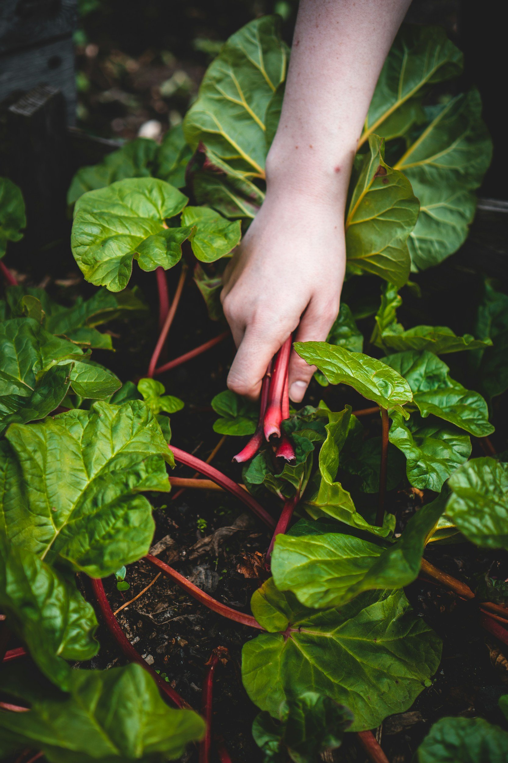 Seeking the Right Health Solutions
