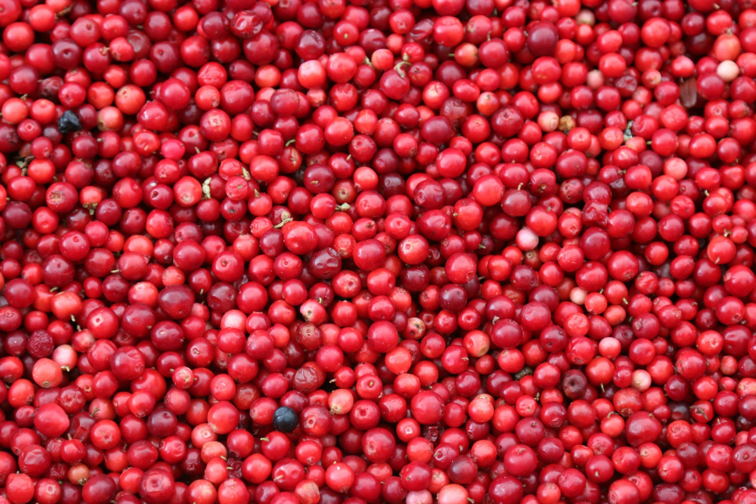 Urinary Tract Infections in Older Adults: Cranberry