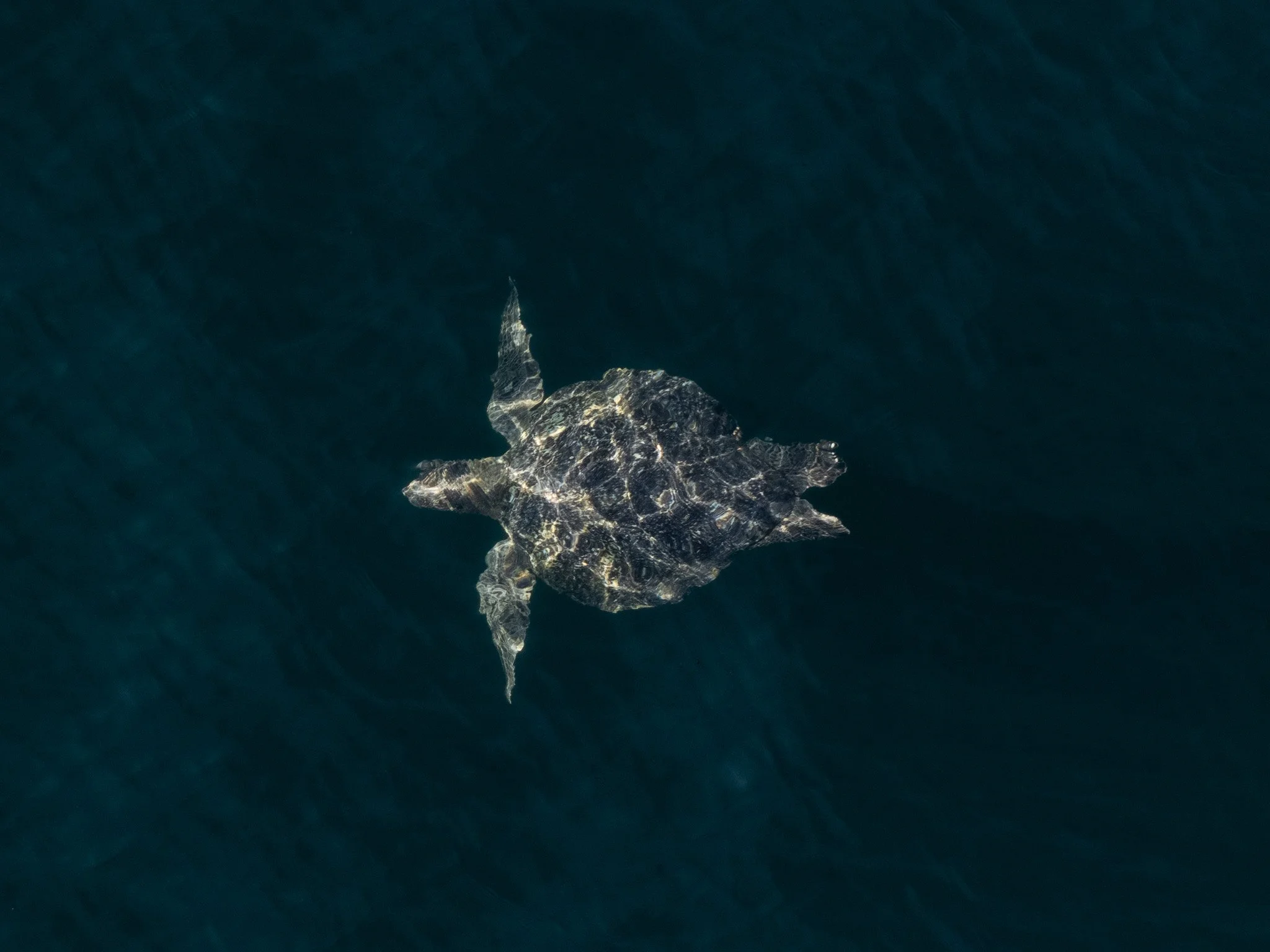 dji_fly_20241218_101306_0102_1734538716669_photo.jpg