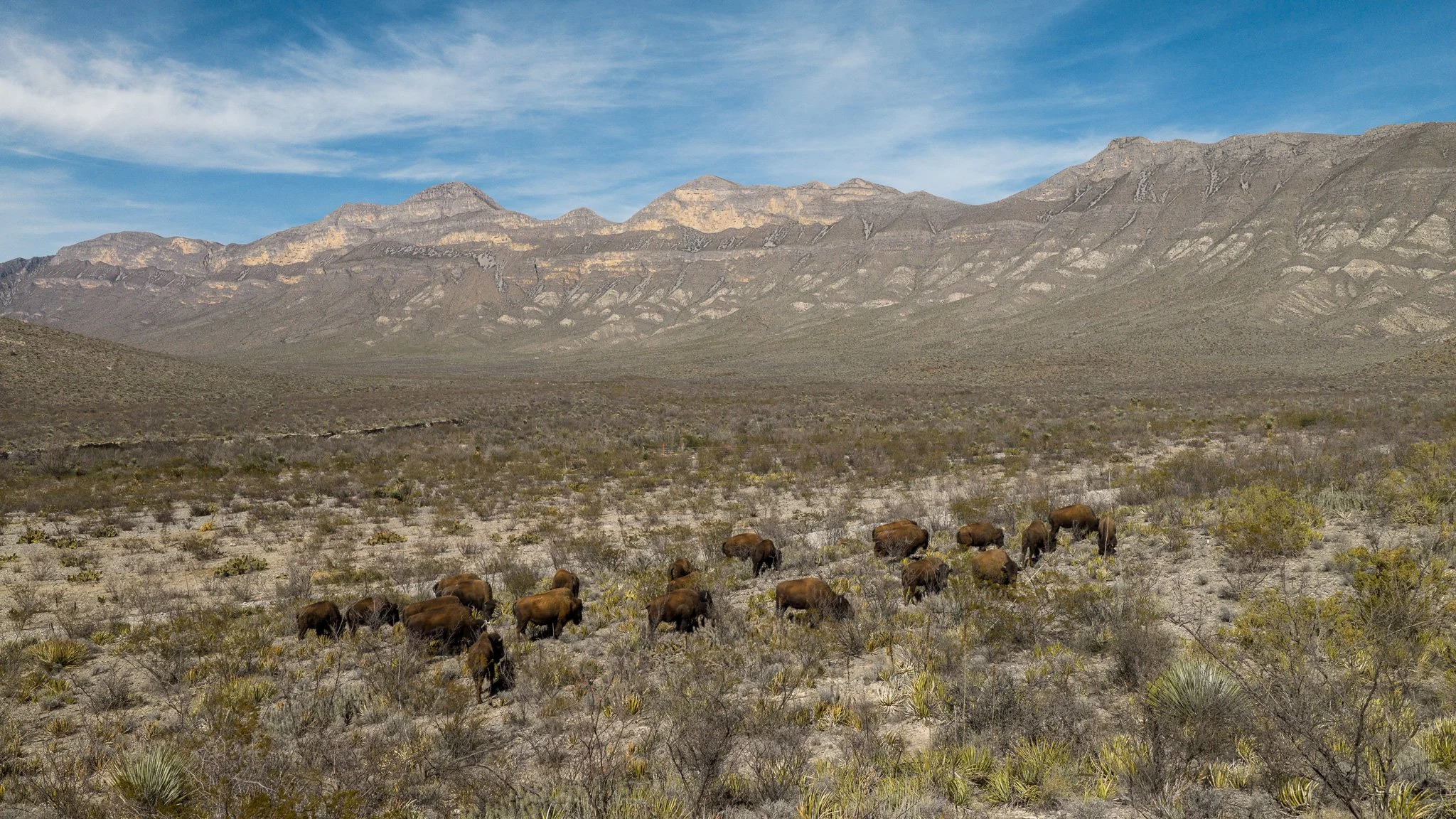 DJI_20260224151113_0327_D.jpg