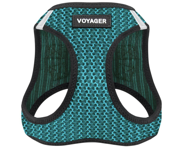 Supplies for your New Maltipoo Puppy — My Doodle Puppy