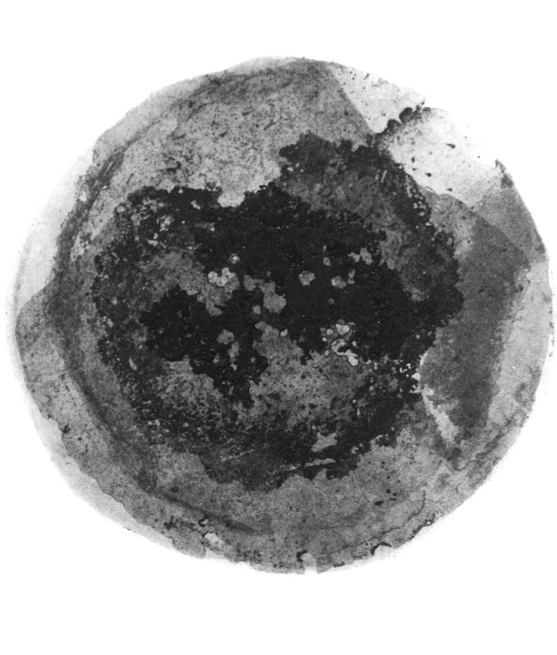 7b.jpg