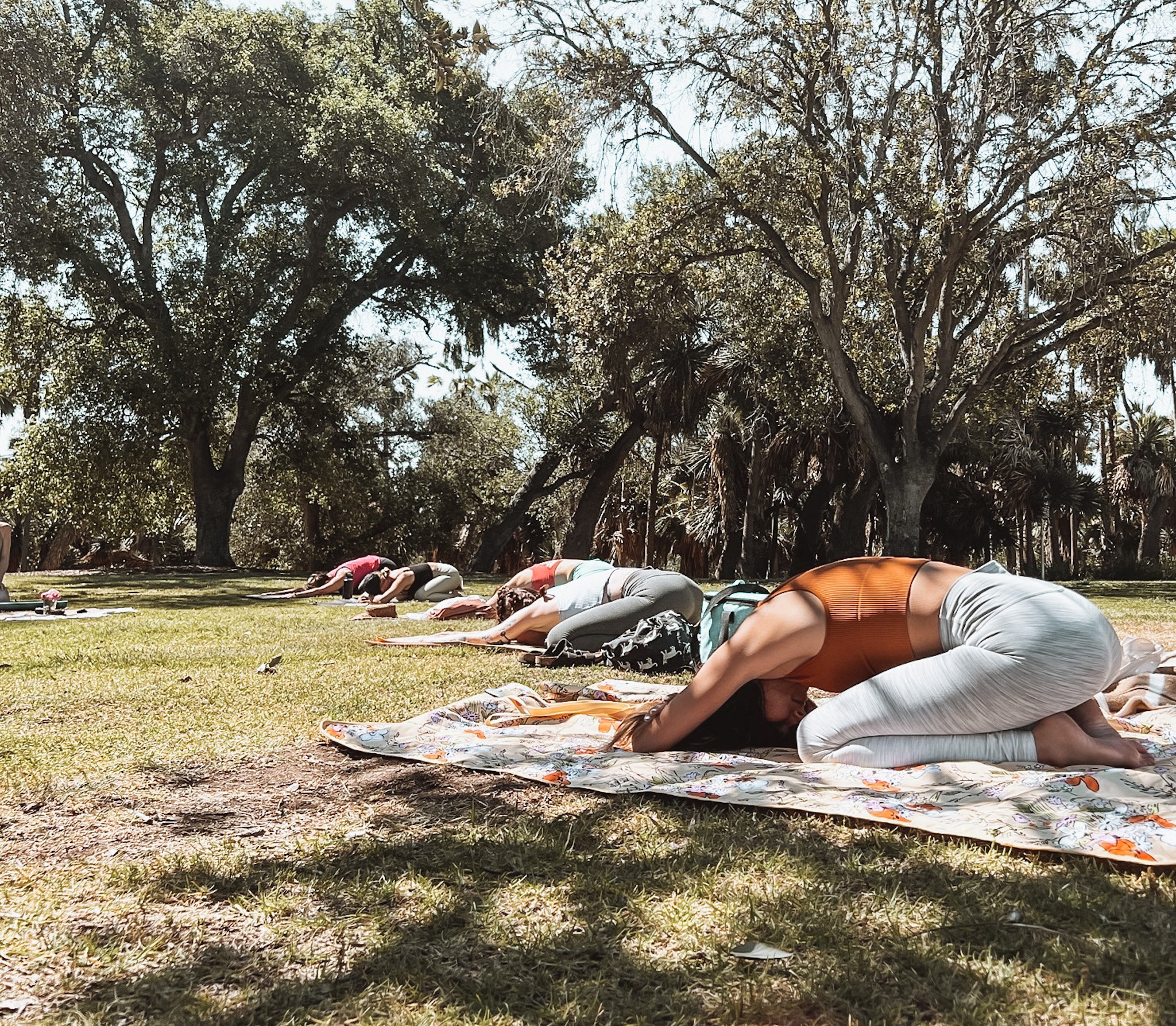 Yin Yoga Training — Gaia Yoga School
