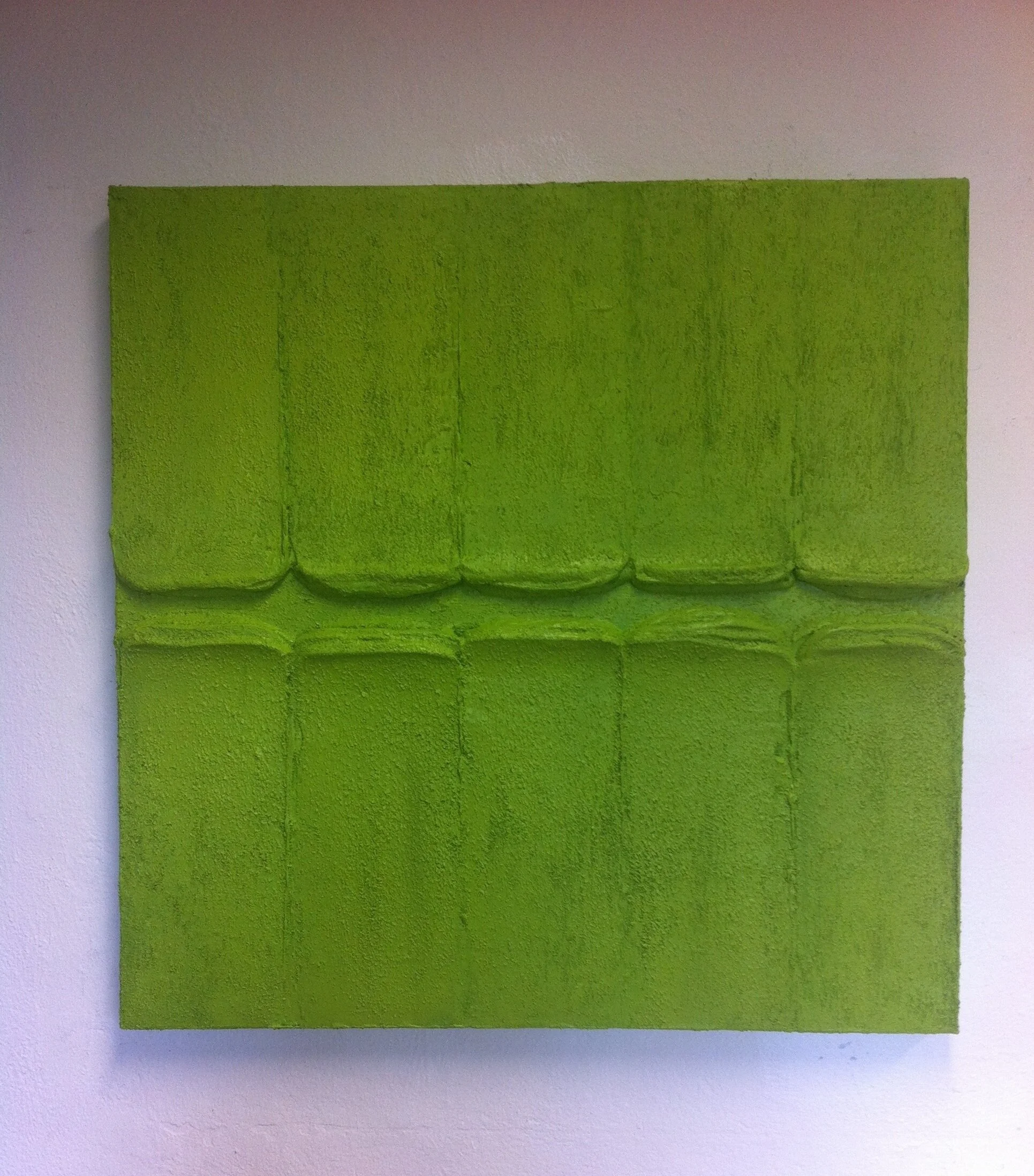 sempre verde 80x80  2015.JPG