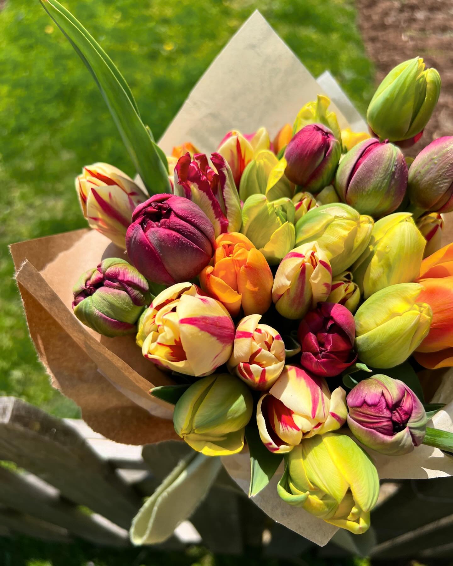 Fruit punch bunch! #longfieldfarm #flowersfromthefarm #slowflowers #grownnotflown #flowerstagram #flowersofinstagram #tulips #newcanaan #newcanaanmoms