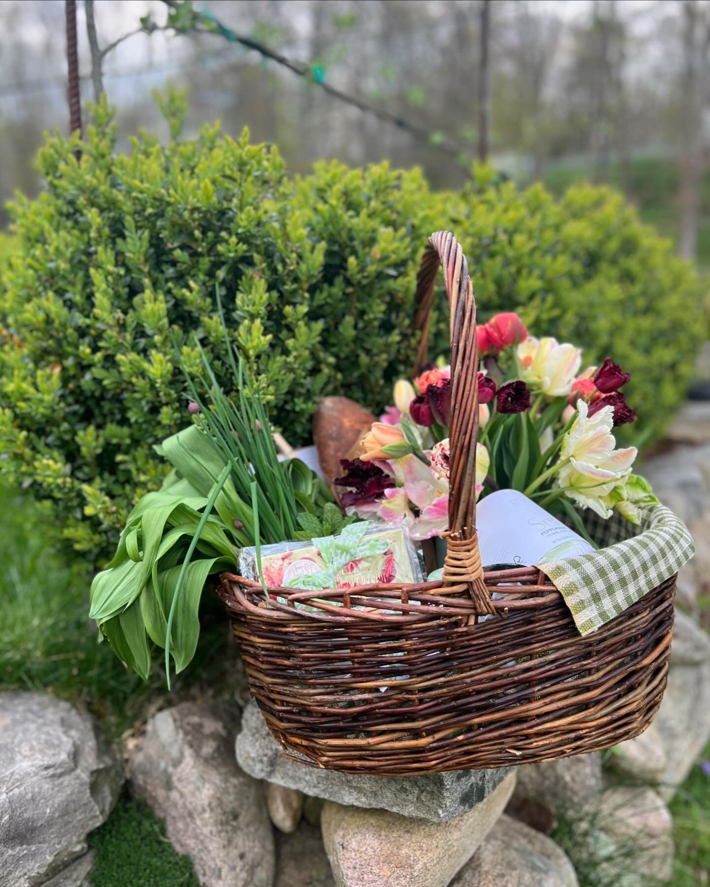 Mother&rsquo;s Day&hellip; just twelve days away! Taking orders for blooms and baskets through Sunday May 5th! Be sure to screenshot and slip into the family shared album 😉 #longfieldfarmct #slowflowers #homegrown #basket #hamper #lfseasonalbasket #