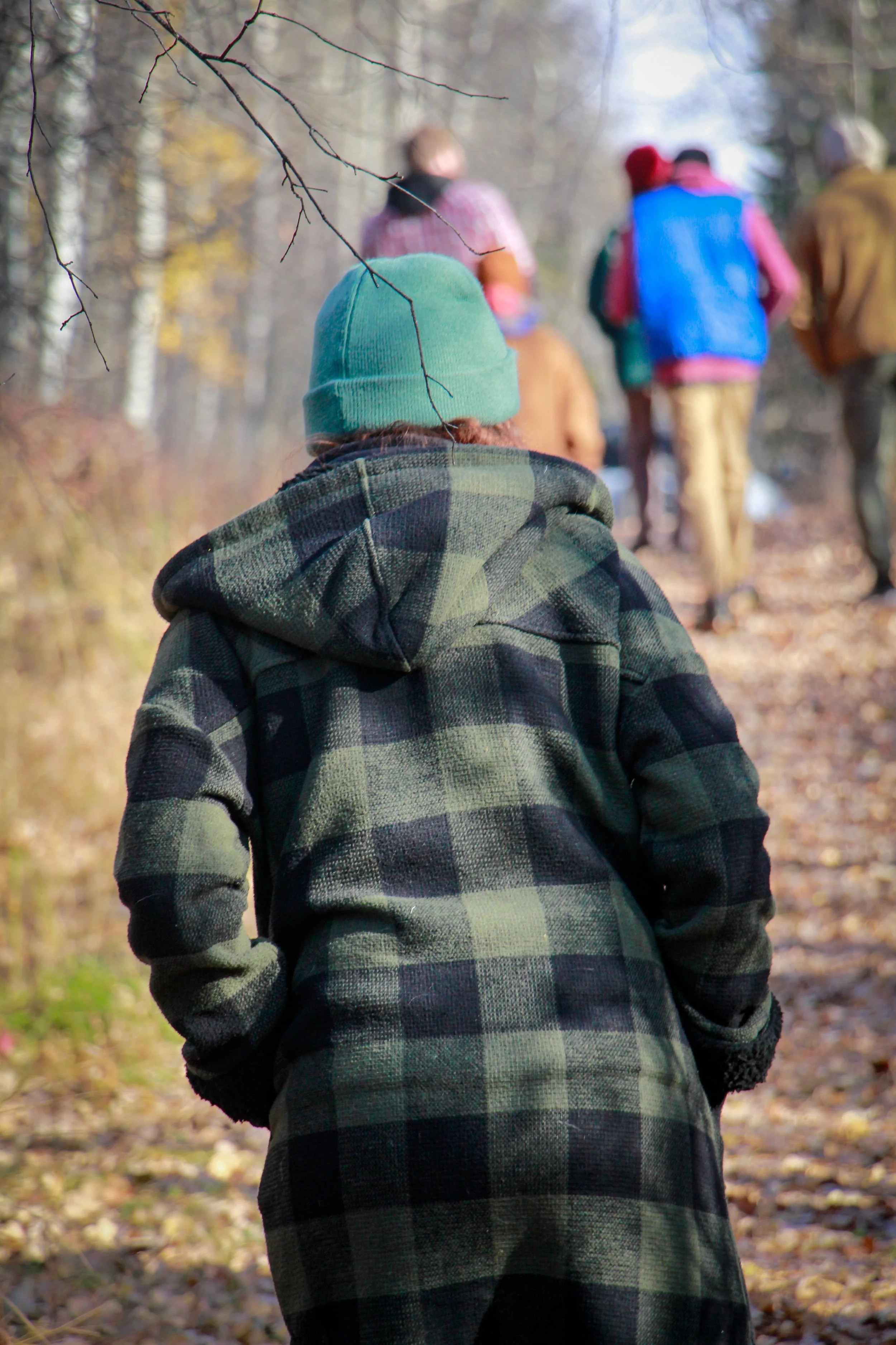 The Science of Forest Therapy: What Nature Does for Your Nervous System