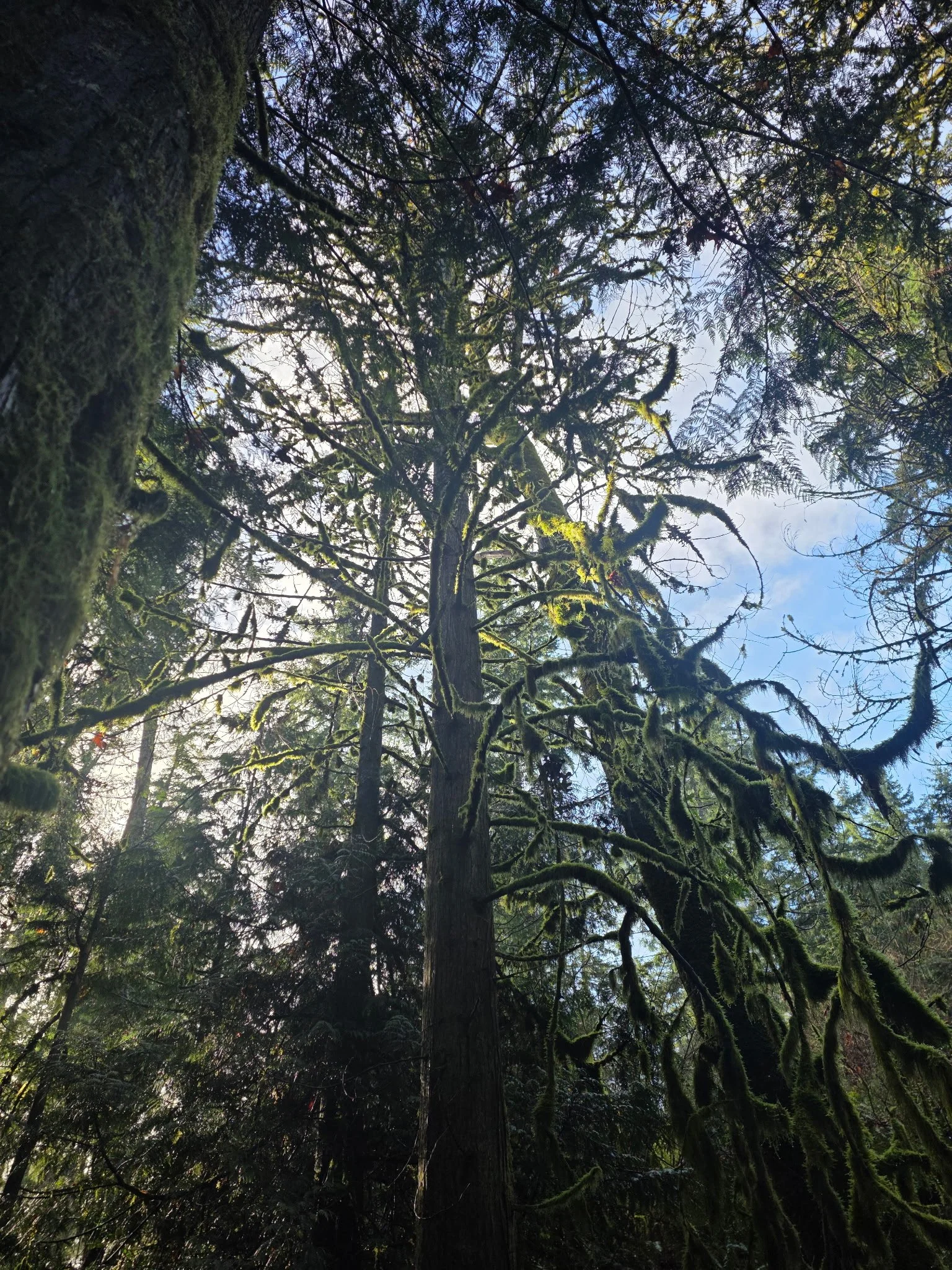 Post-Traumatic Growth: What Actually Changes After Trauma