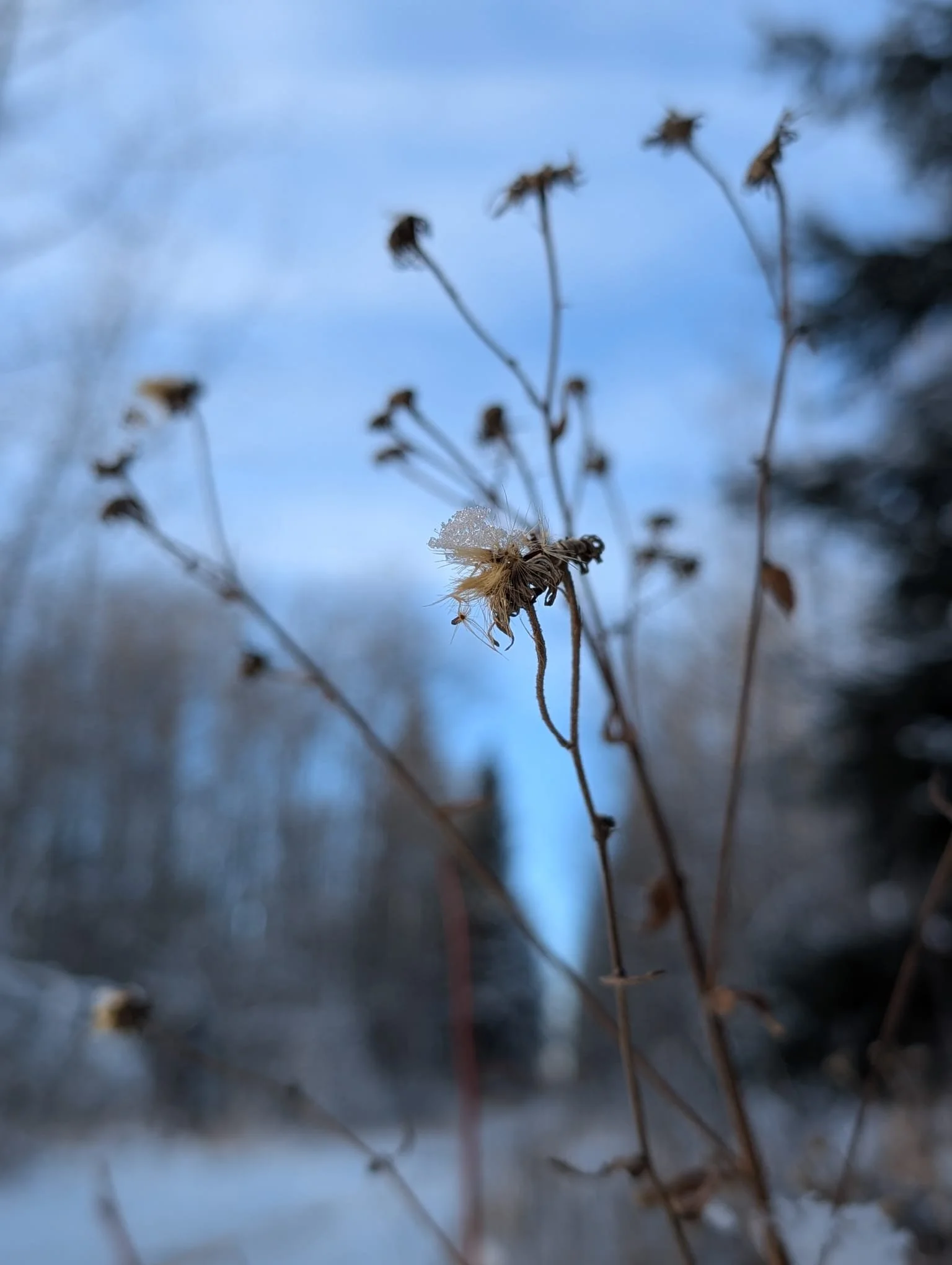 The Paradox of Rest: Why Slowing Down Doesn’t Feel Safe for Everyone