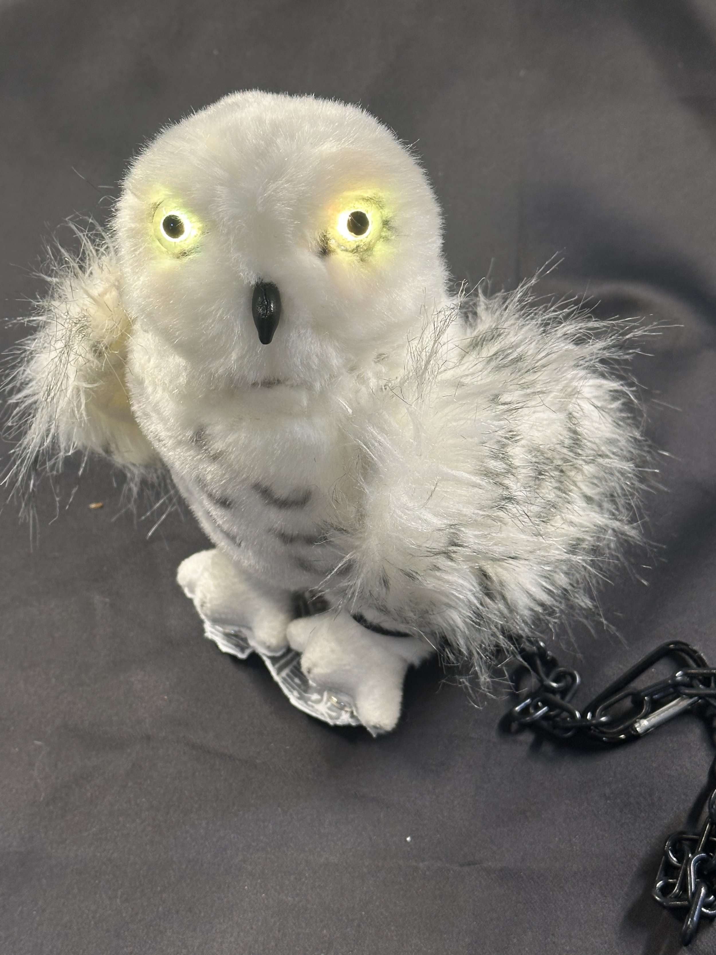 Hoo's the Emotional Support Owl