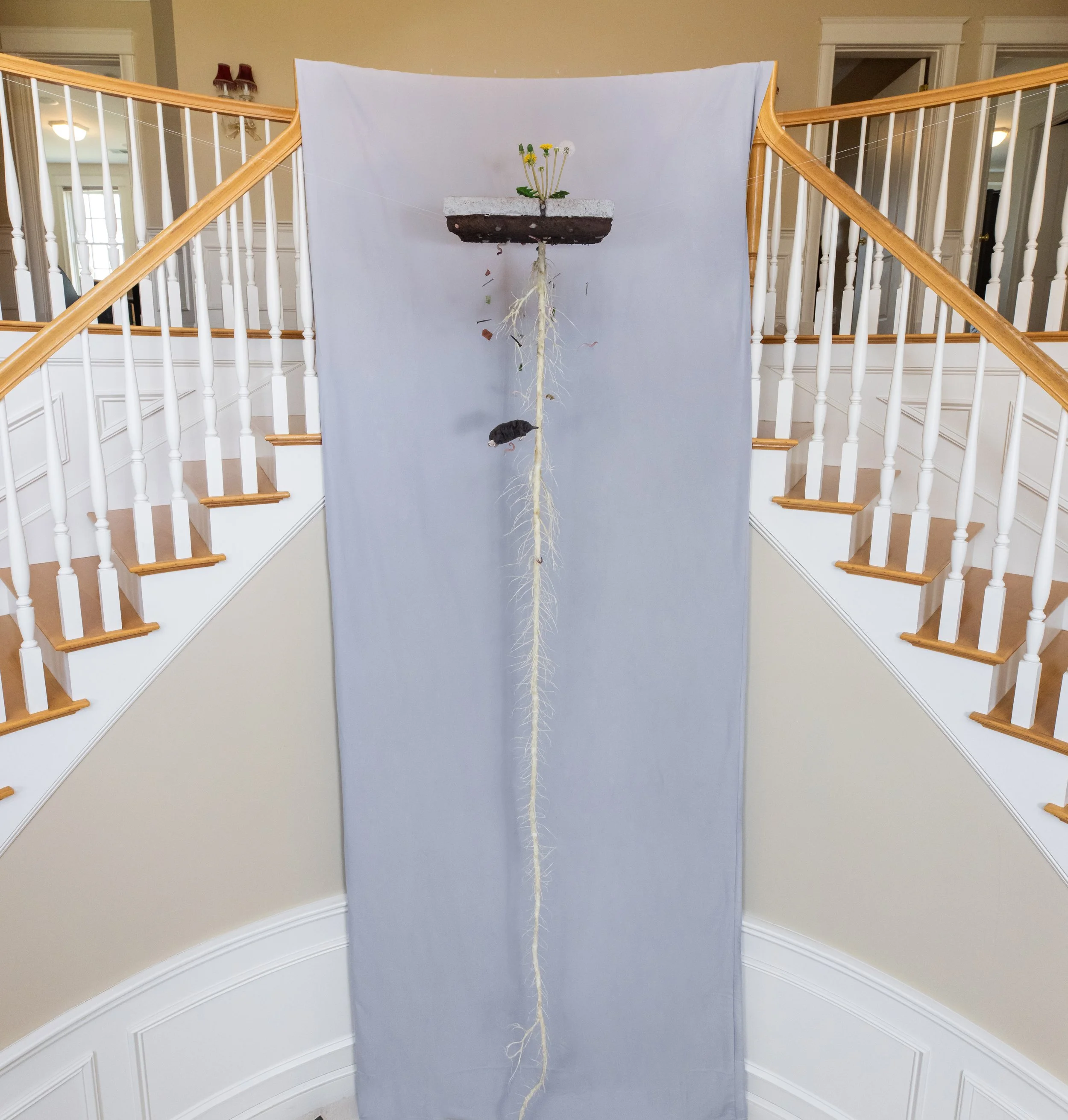 KKR53484 Staircase copy.jpg