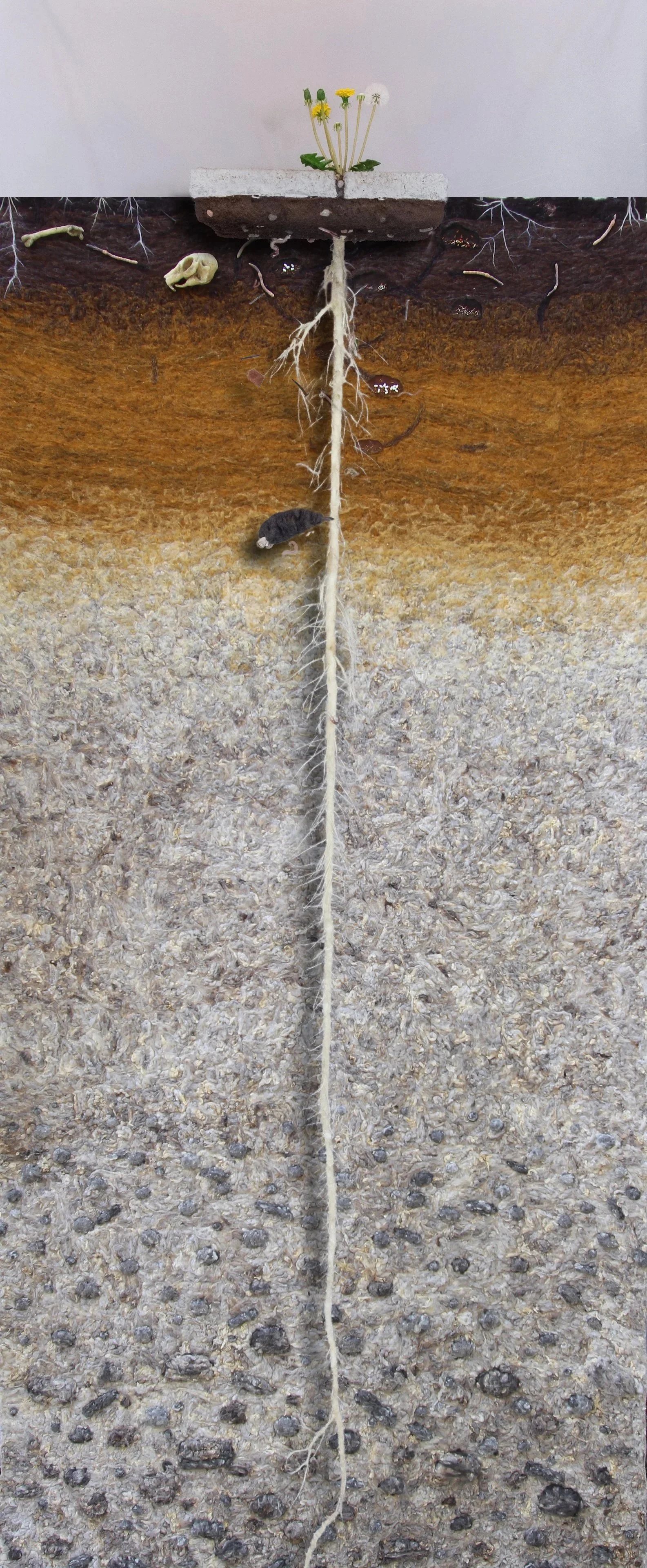 root_+%281%29.jpg