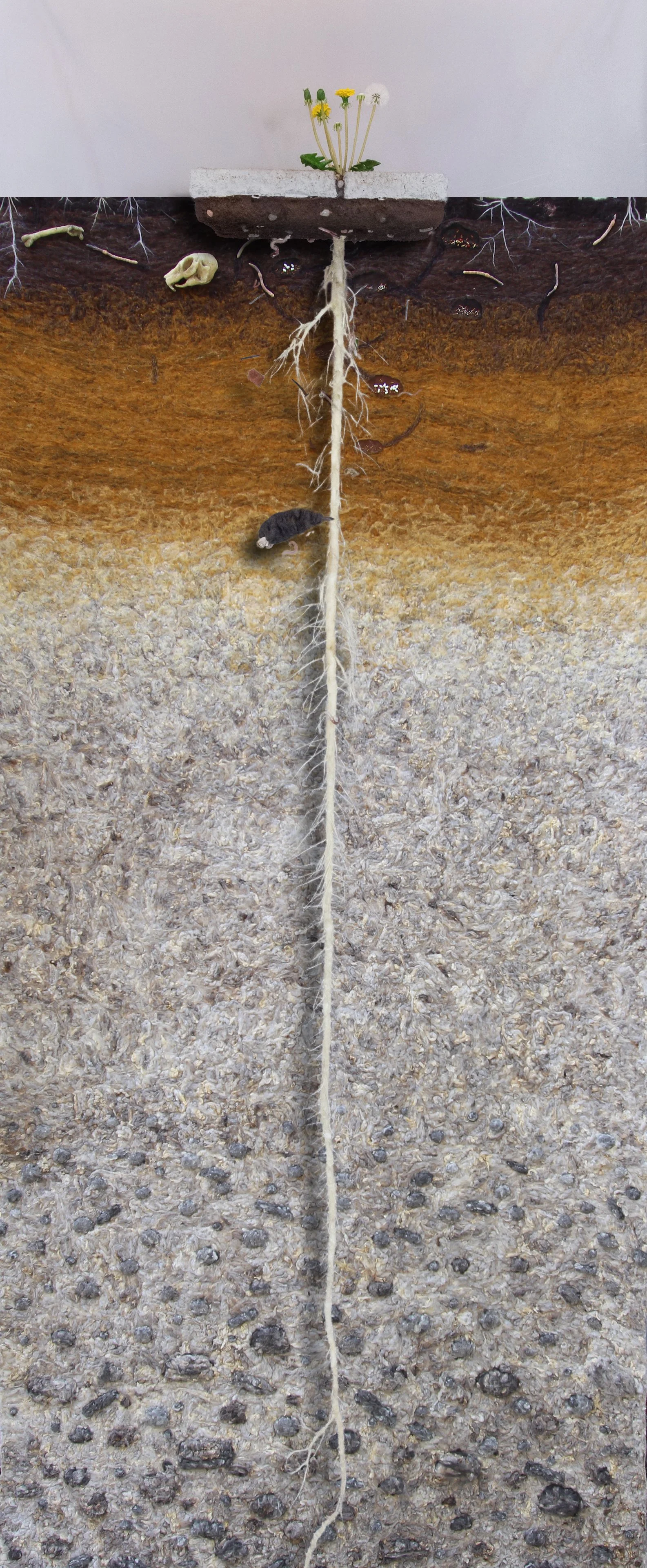 root_ (1).jpg