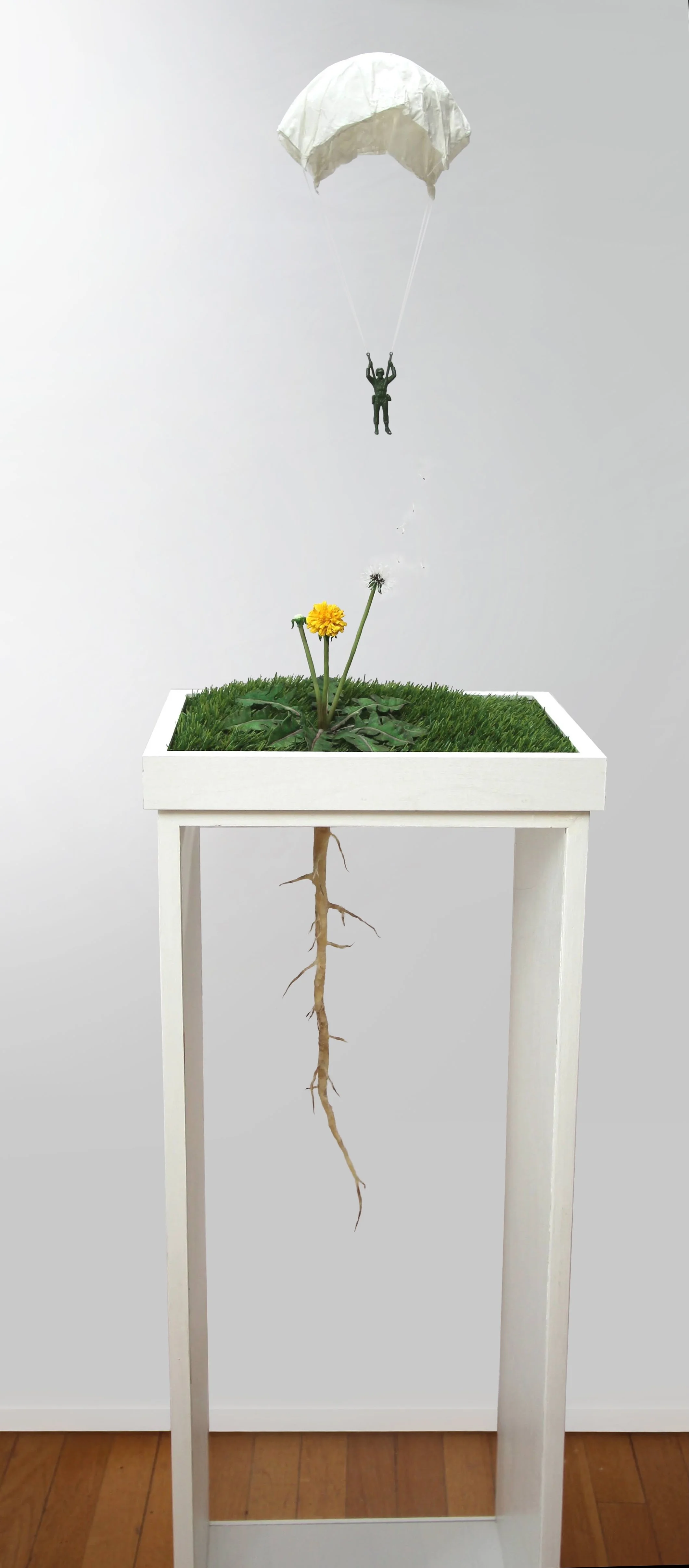 Dispersal (full).jpg