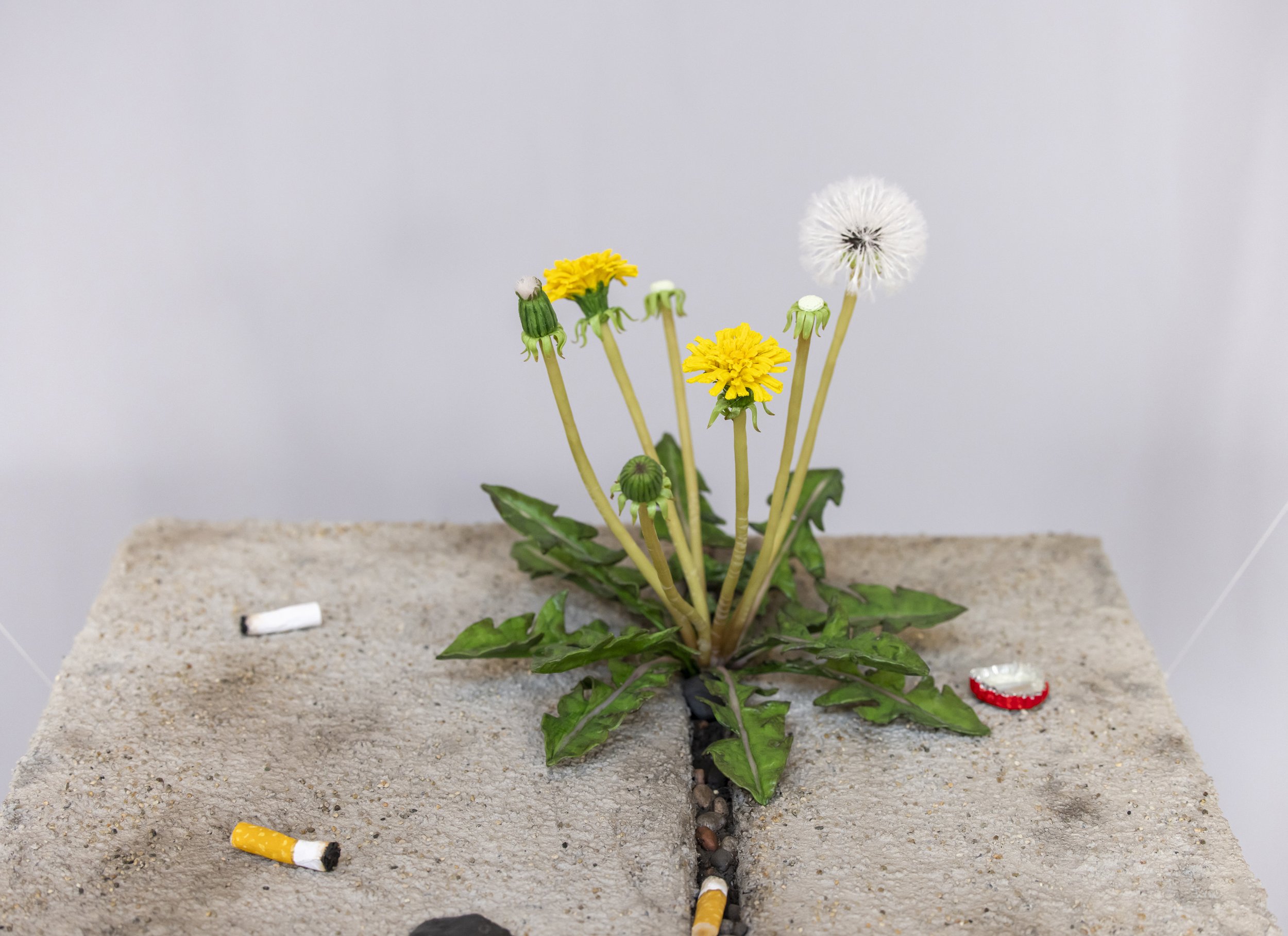 My Roots are Deeper Than They Can Dig