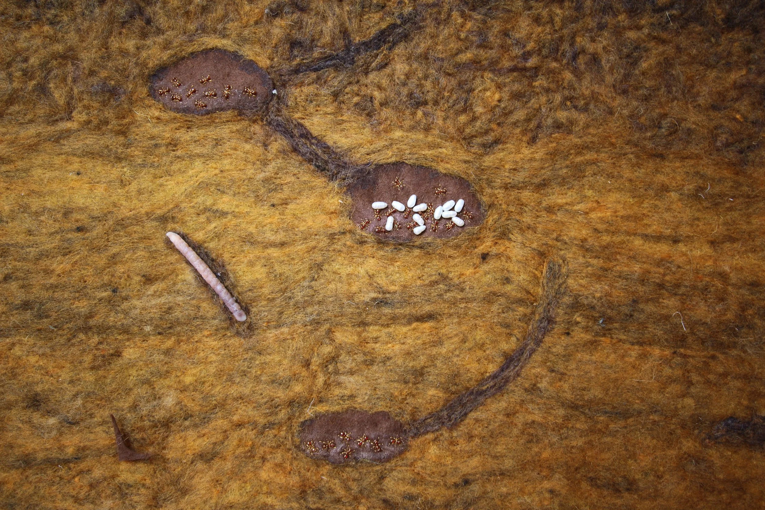 Lower anthill chambersJPG.JPG