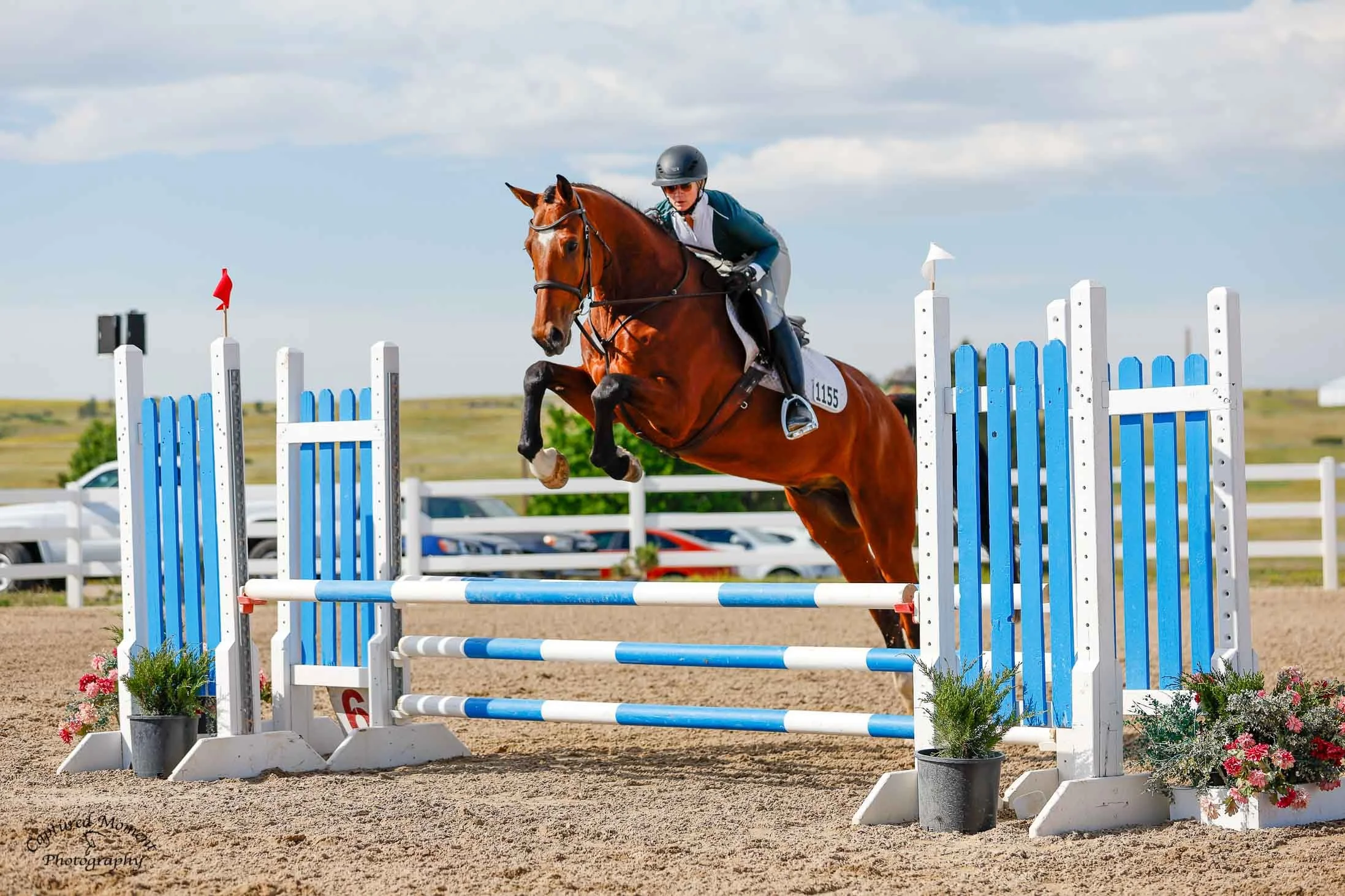 A rider in riding gear jumping over a blue and white obstacle on a brown horse at an outdoor equestrian event.