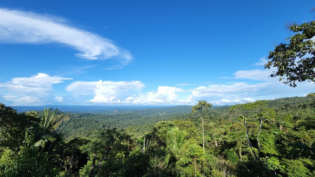 selva-Finca-Heimatlos-Lodge-Hotel-en-Pastaza-Puyo-Amazonia-Ecuador-0009.jpeg