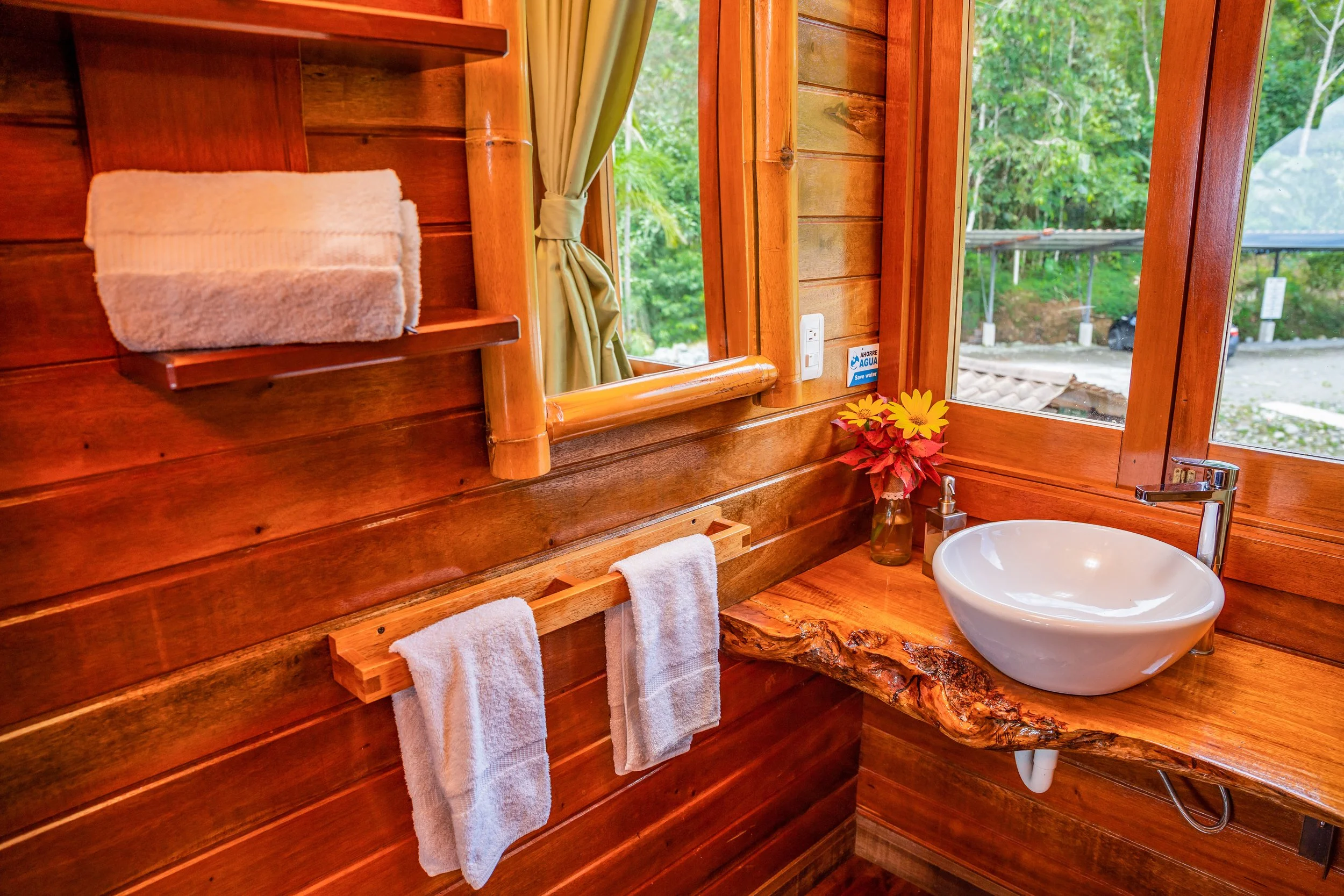 Copy of Polilla4 (1).jpg