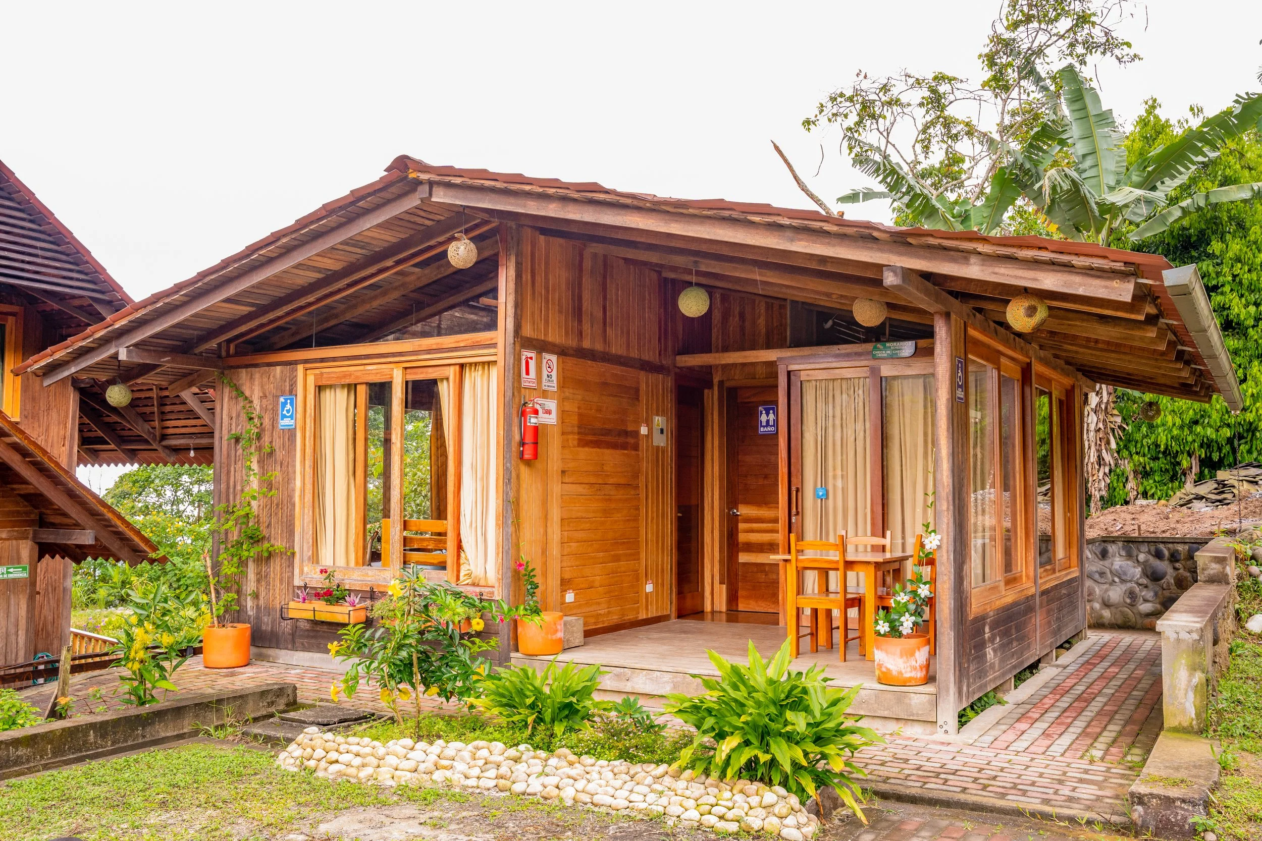 Copy of Tortuga1.jpg