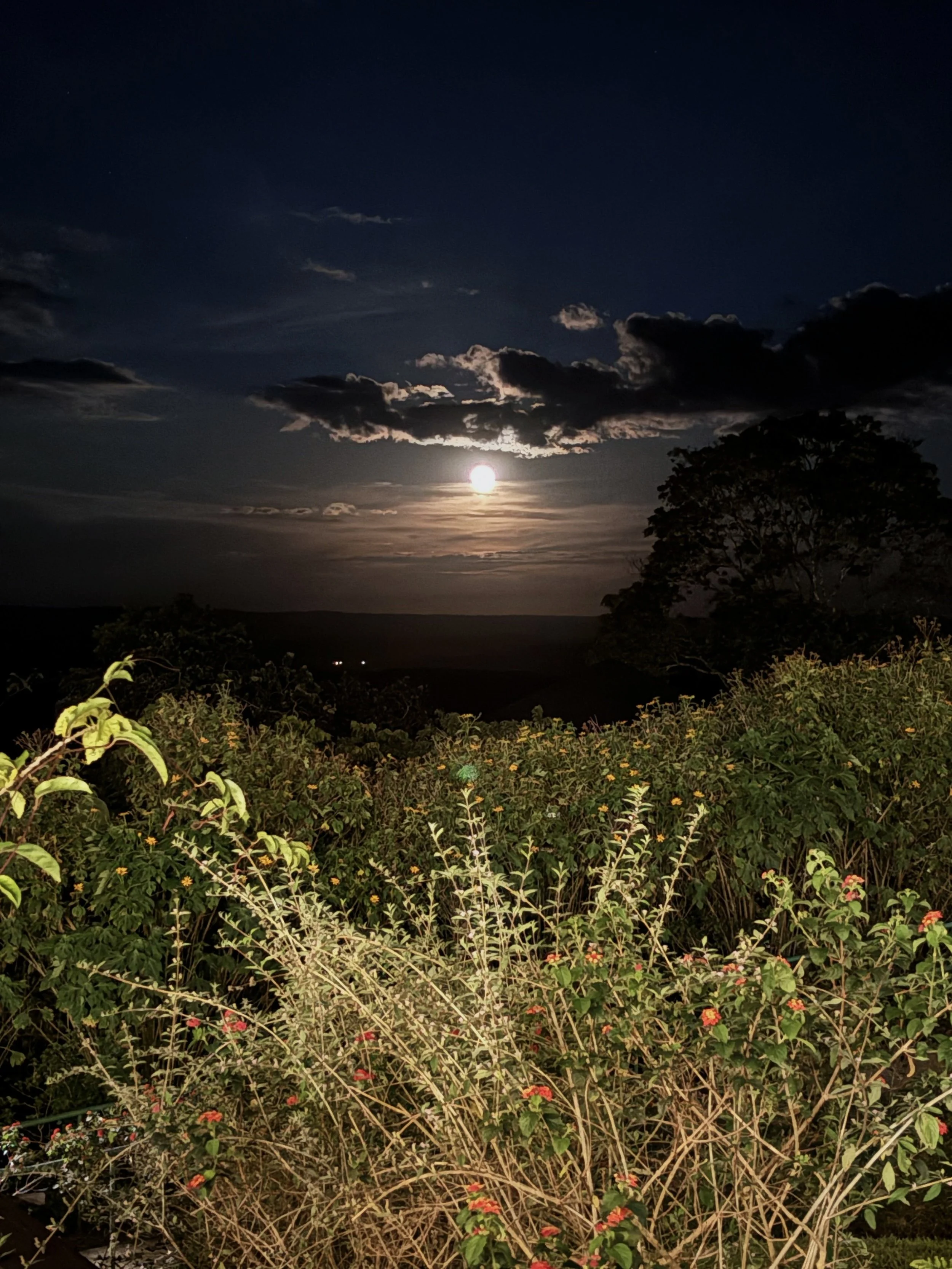 Paquete de una noche express con cena (2d/1n) - 2 personas