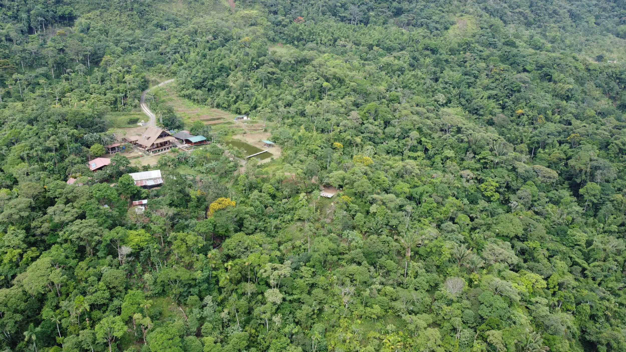 Copy of DJI_0185.JPG