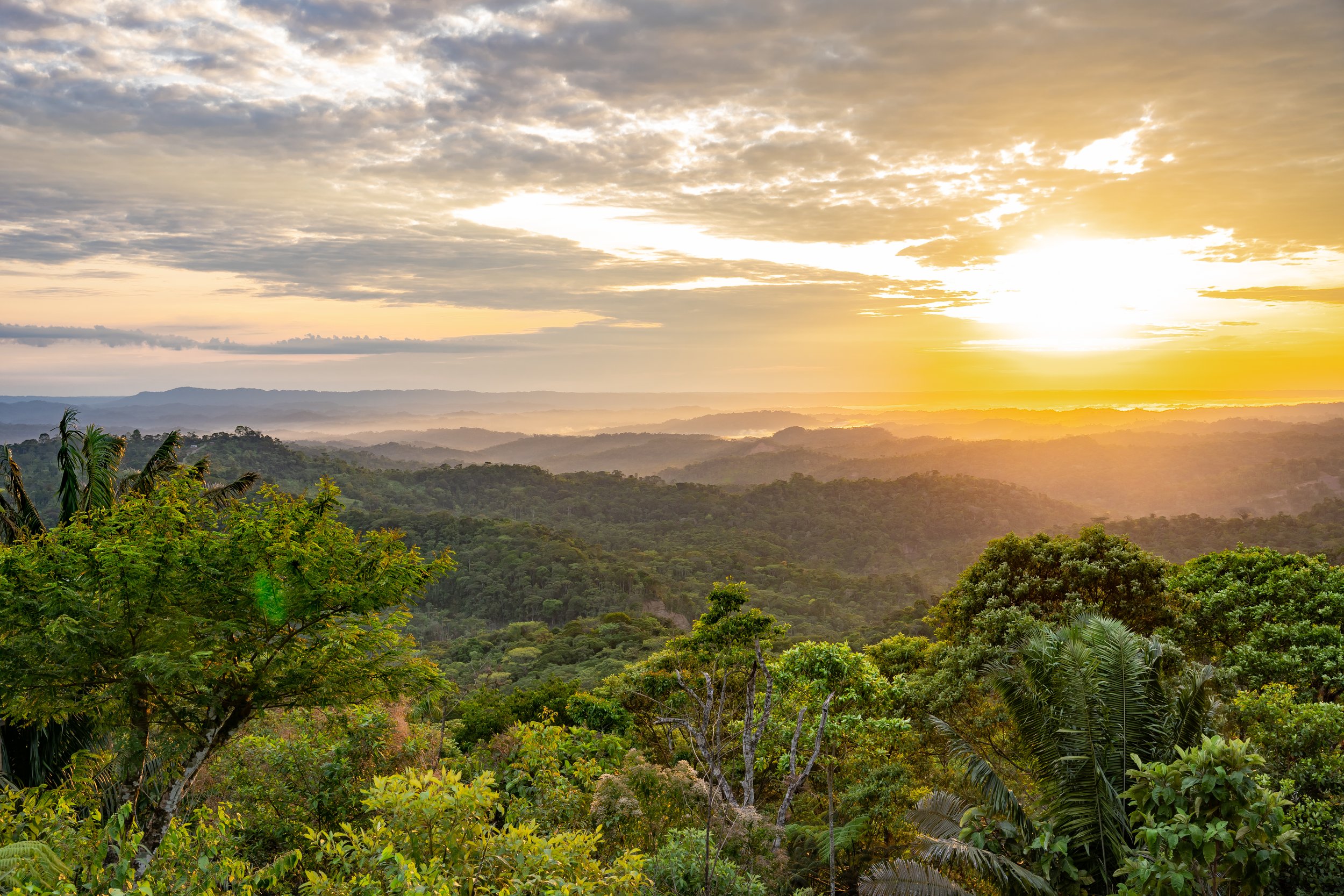 Copy of Heimat_34.jpg