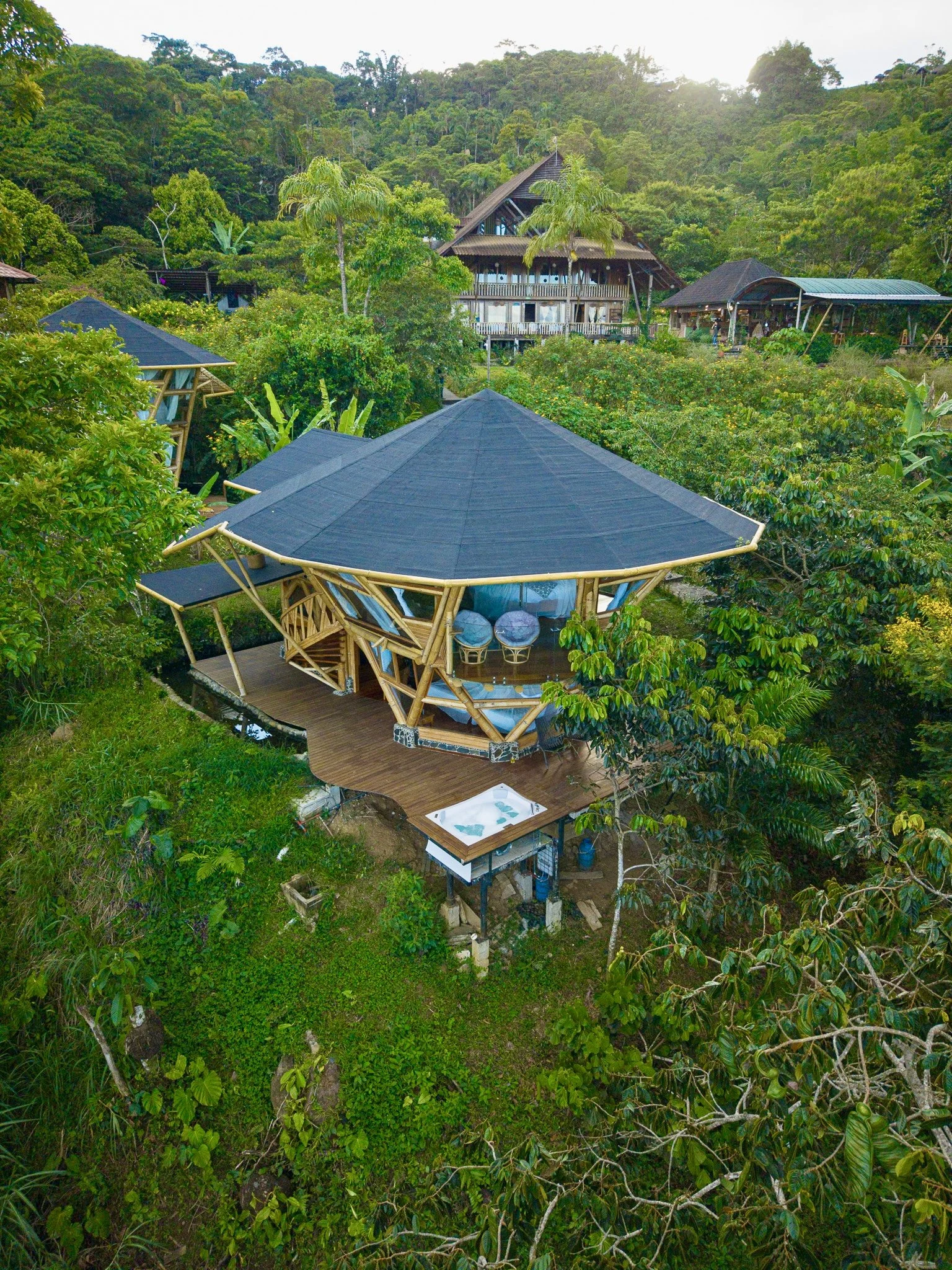 Suite Galerina de Bambú, rodeada de vegetación tropical en una zona montañosa.