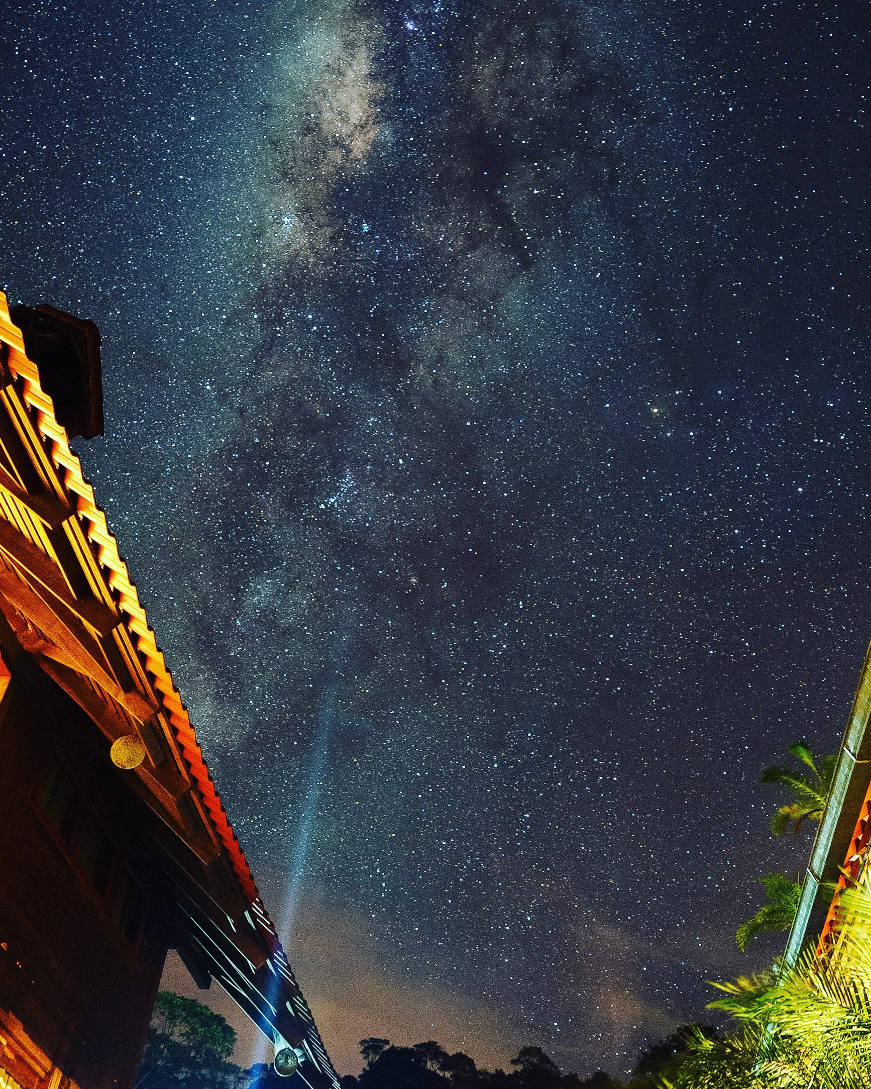 Cielo estrellado con la Vía Láctea visible, edificios y vegetación en la parte inferior.