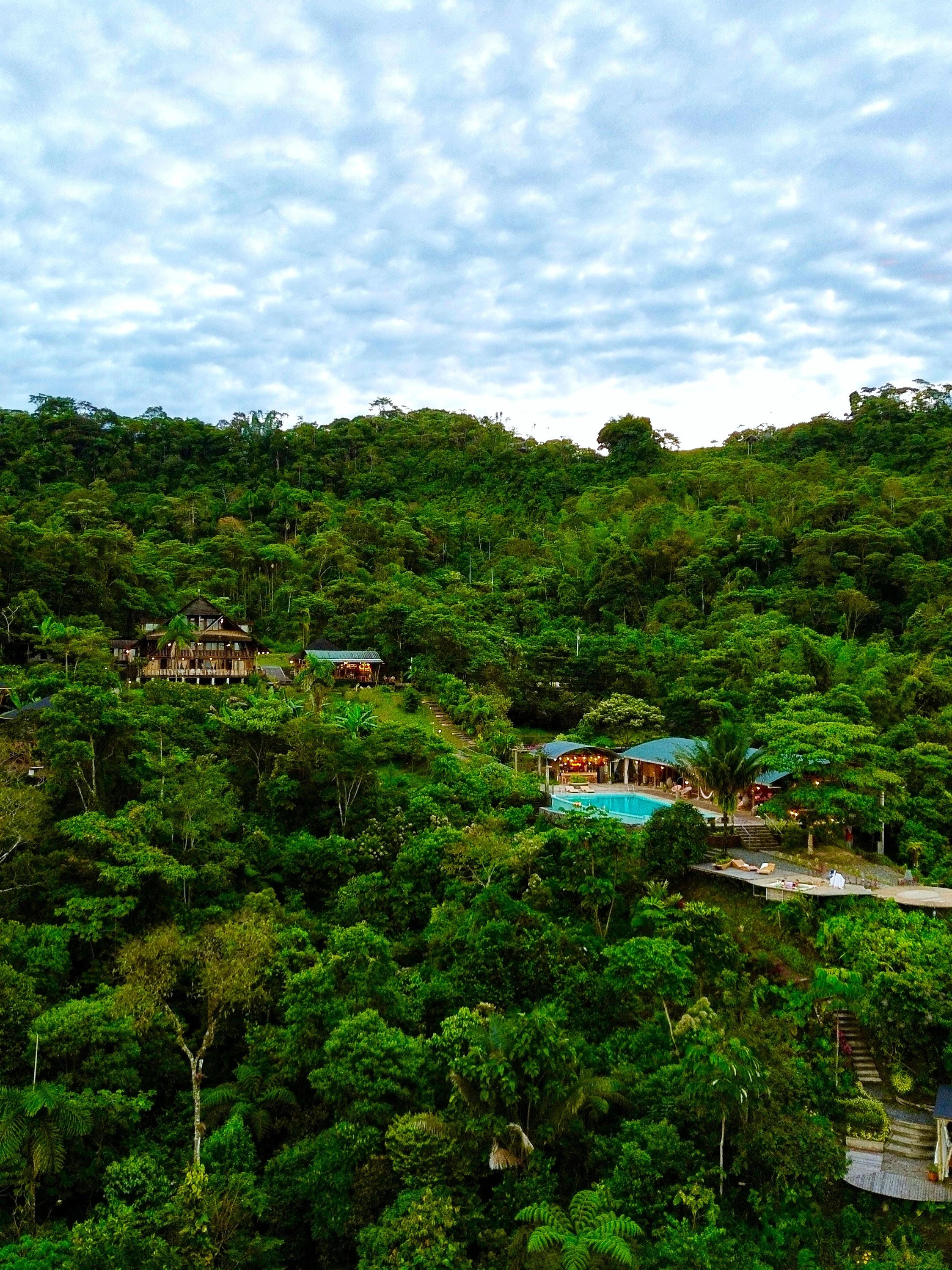 Paisaje de un bosque tropical con casas y piscina, en medio de mucho follaje y árboles verdes, bajo un cielo nublado.