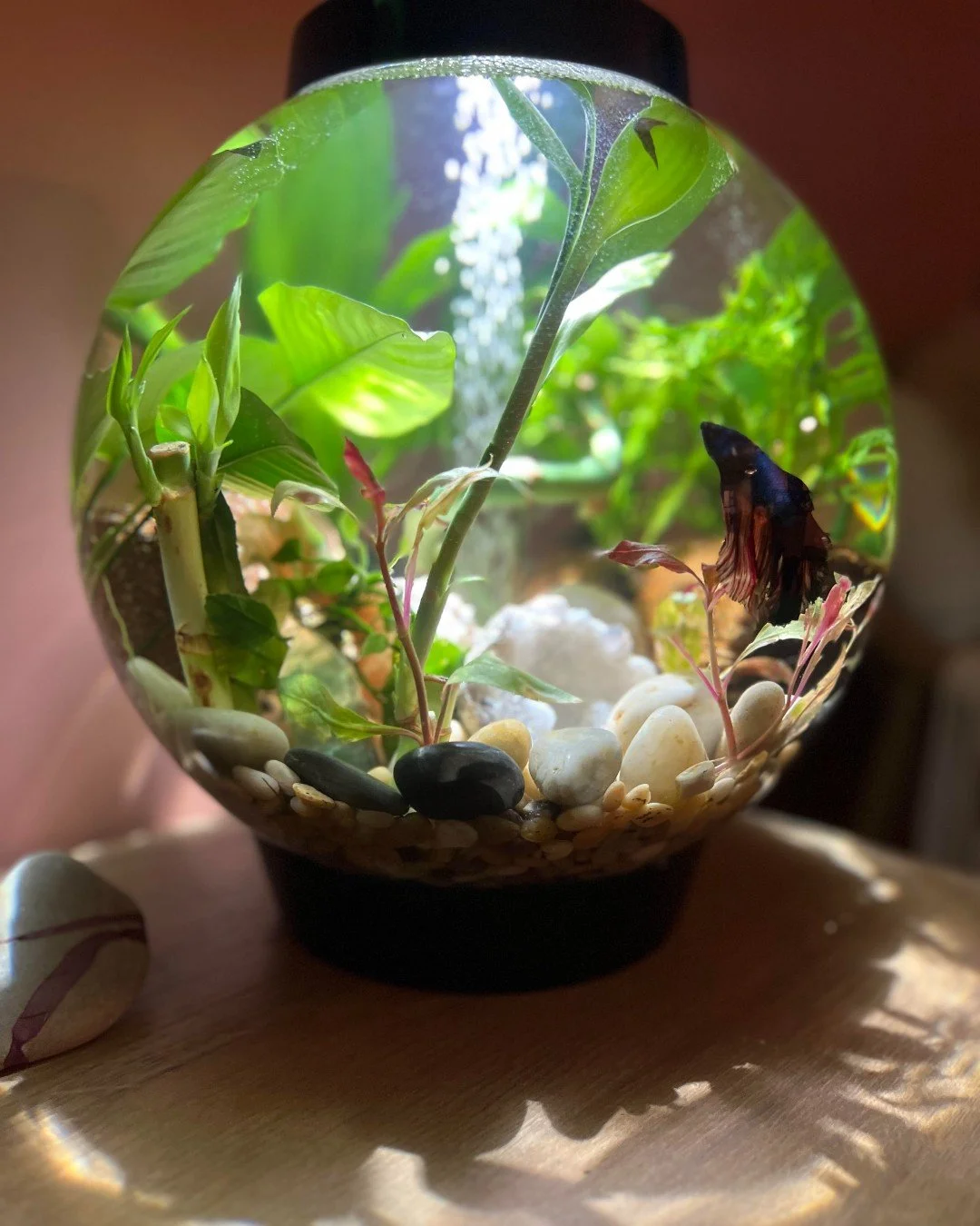Plants don&rsquo;t always have to live in traditional pots to bring life into a space. In family-friendly living rooms especially, we love looking for creative, lower-maintenance ways to introduce greenery without adding clutter or delicate decor pie