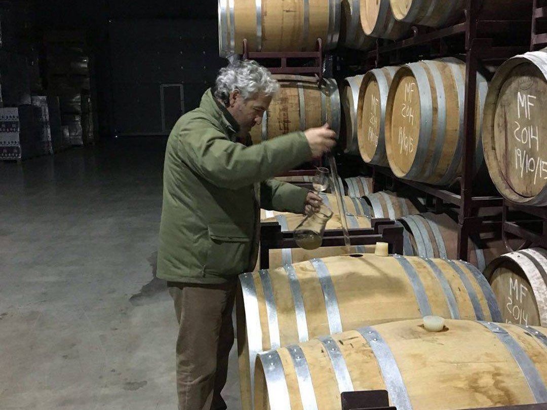 Bodegas_Mas_Que_Vinos_3_web.jpg