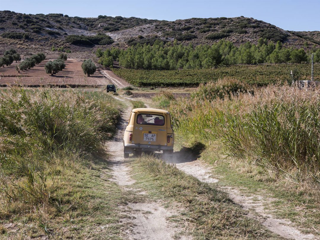 Bodegas_Mas_Que_Vinos_1_web.jpg