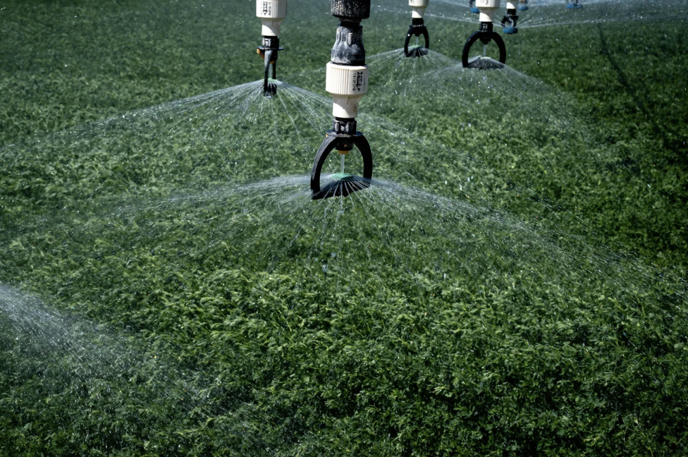 It's an outrage that Saudis use Arizona's water for free. I'll work to stop it