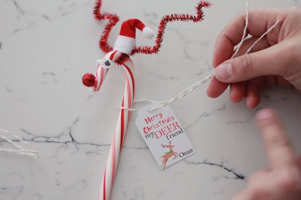 Easy Reindeer Candy Canes Favors 12.jpeg